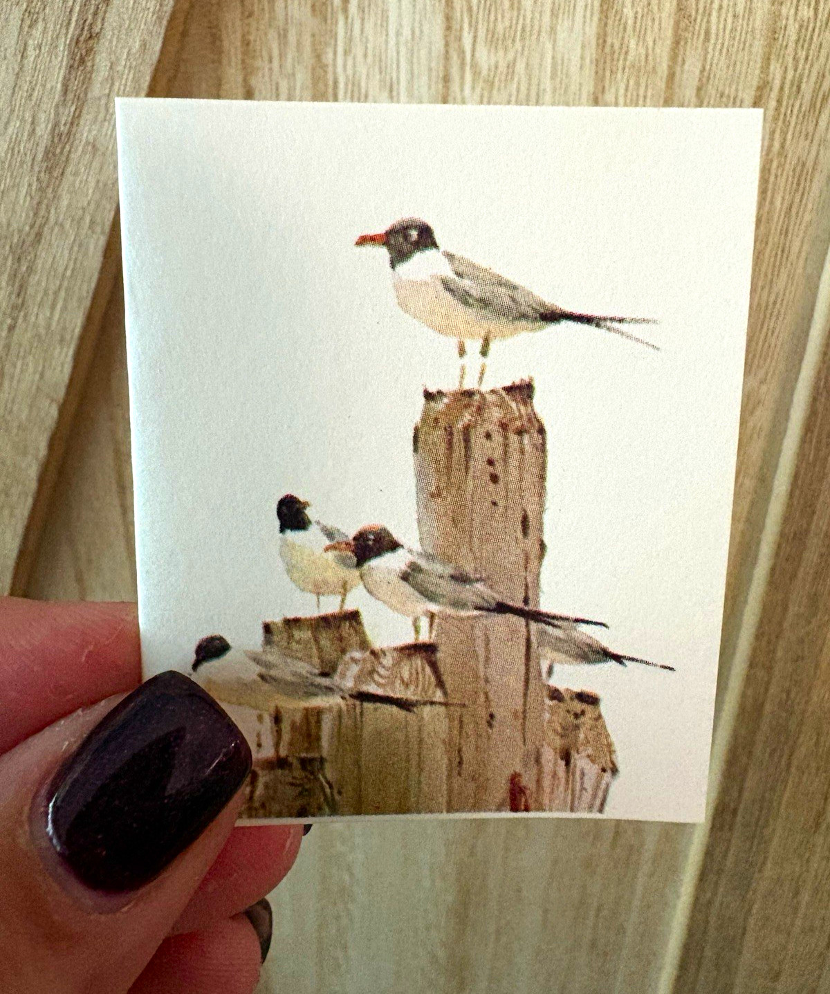 Birds on Wooden Posts Paper Art Print, Small 3 in Greeting Card Mini, ~2x2.5”