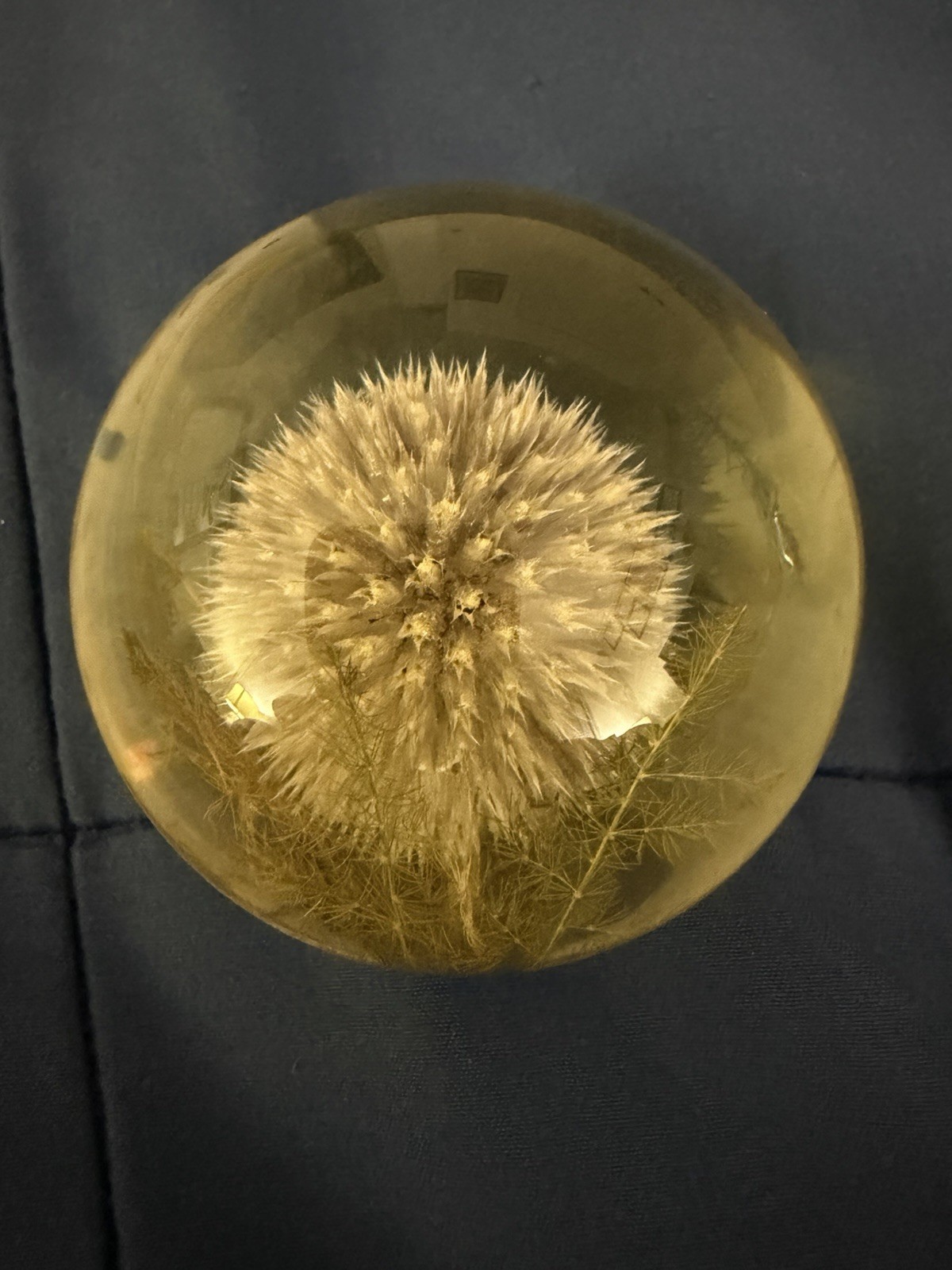 VTG Hafod Grange Botanical Paperweight Lucite Resin Thistle Plant 1994 VTG Hafod Grange Botanical Paperweight Lucite Resin Thistle Plant 1994