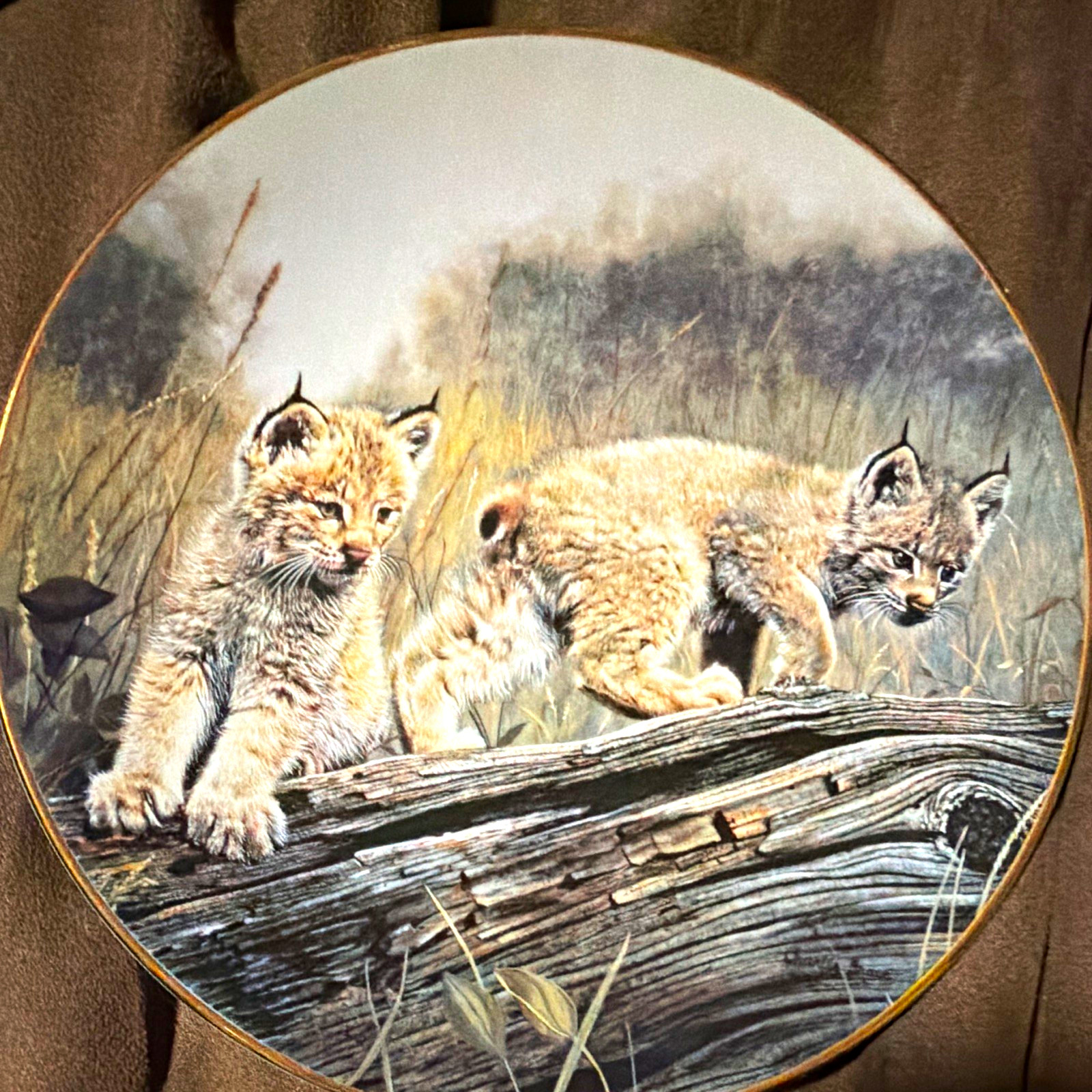 Bradex Nature\'s Playmates Double Trouble Fine China Plate Charles Fracé LE