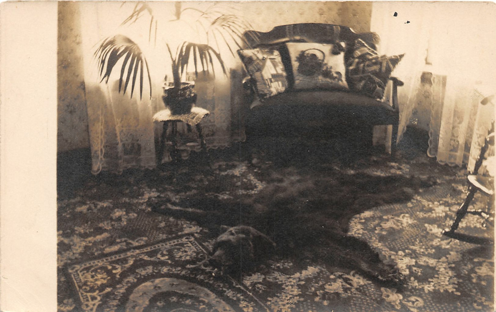J4/ Interesting RPPC Postcard c1910 Interior Bear Rug Skin Hunting Hunt 79