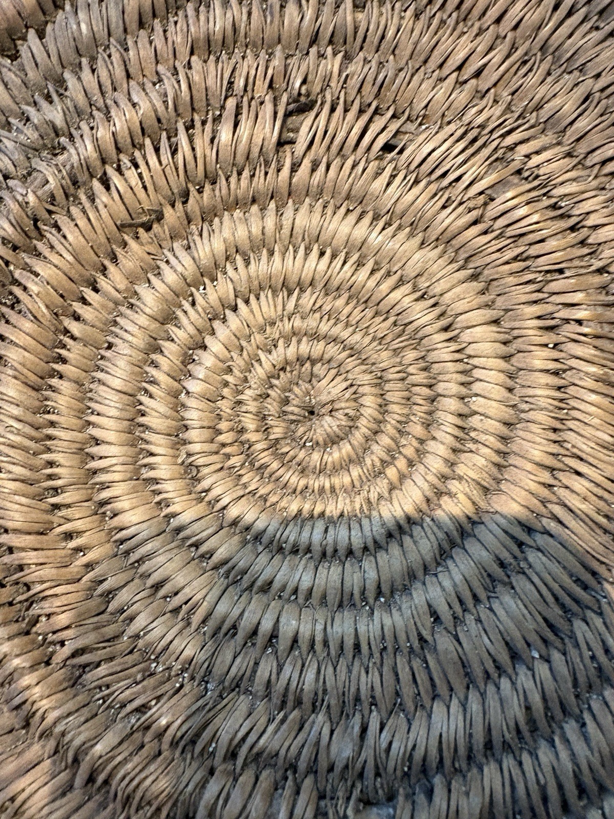 Large 13.5