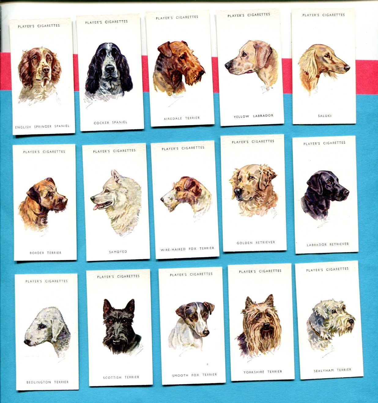 1940 JOHN PLAYER & SONS DOGS' HEADS 15 DIFFERENT TOBACCO CARD LOT