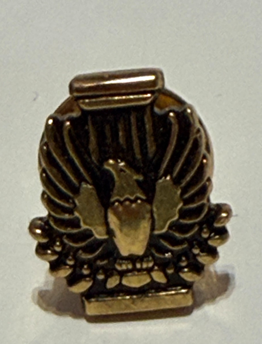 Vintage AIA American Institute of Architects Membership Pin ESCO