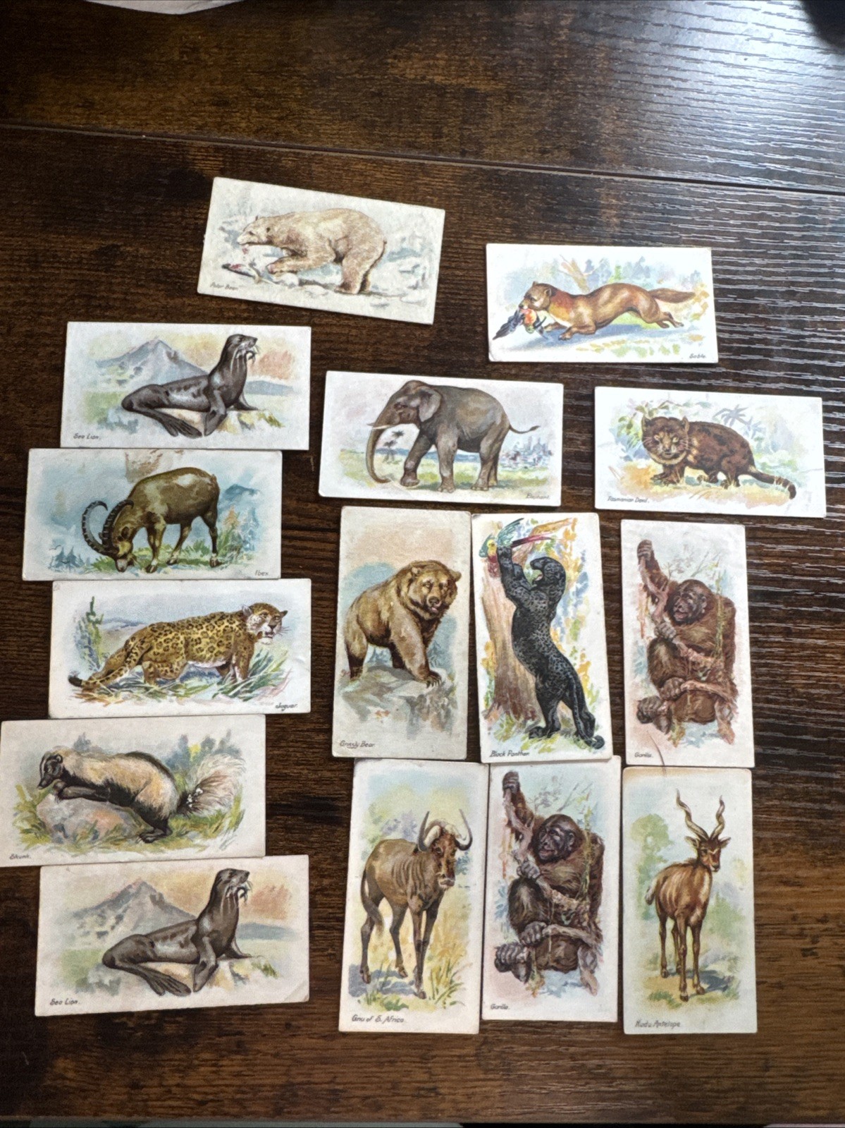 1901 John Player Wild Animals Of The World Part Set 15 Cards