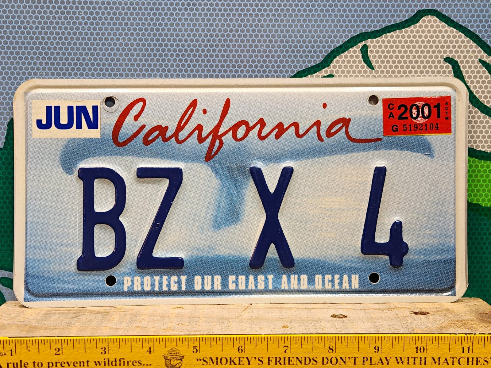 2001 California Vanity License Plate BZ X 4 Whale Tail Protect Ocean Graphic