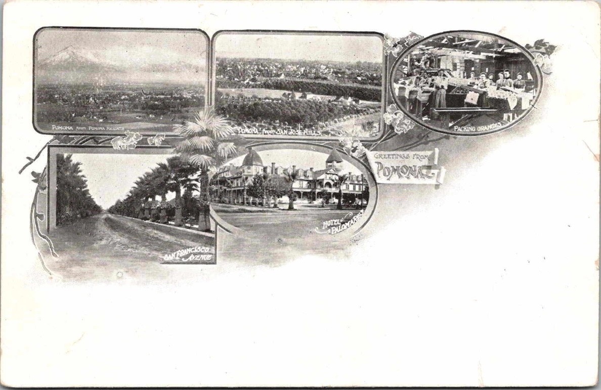 c1900 Hotel Palomares & Orange Packing Pomona California CA Multiview UDB Postca