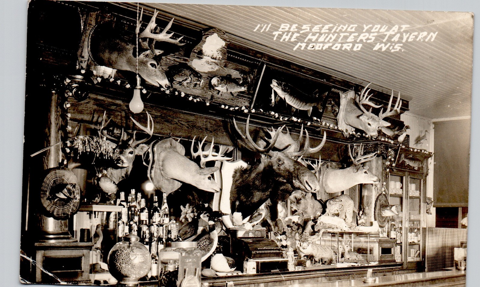 TAVERN TAXIDERMY medford wi c1940 postcard wisconsin real photo rppc saloon
