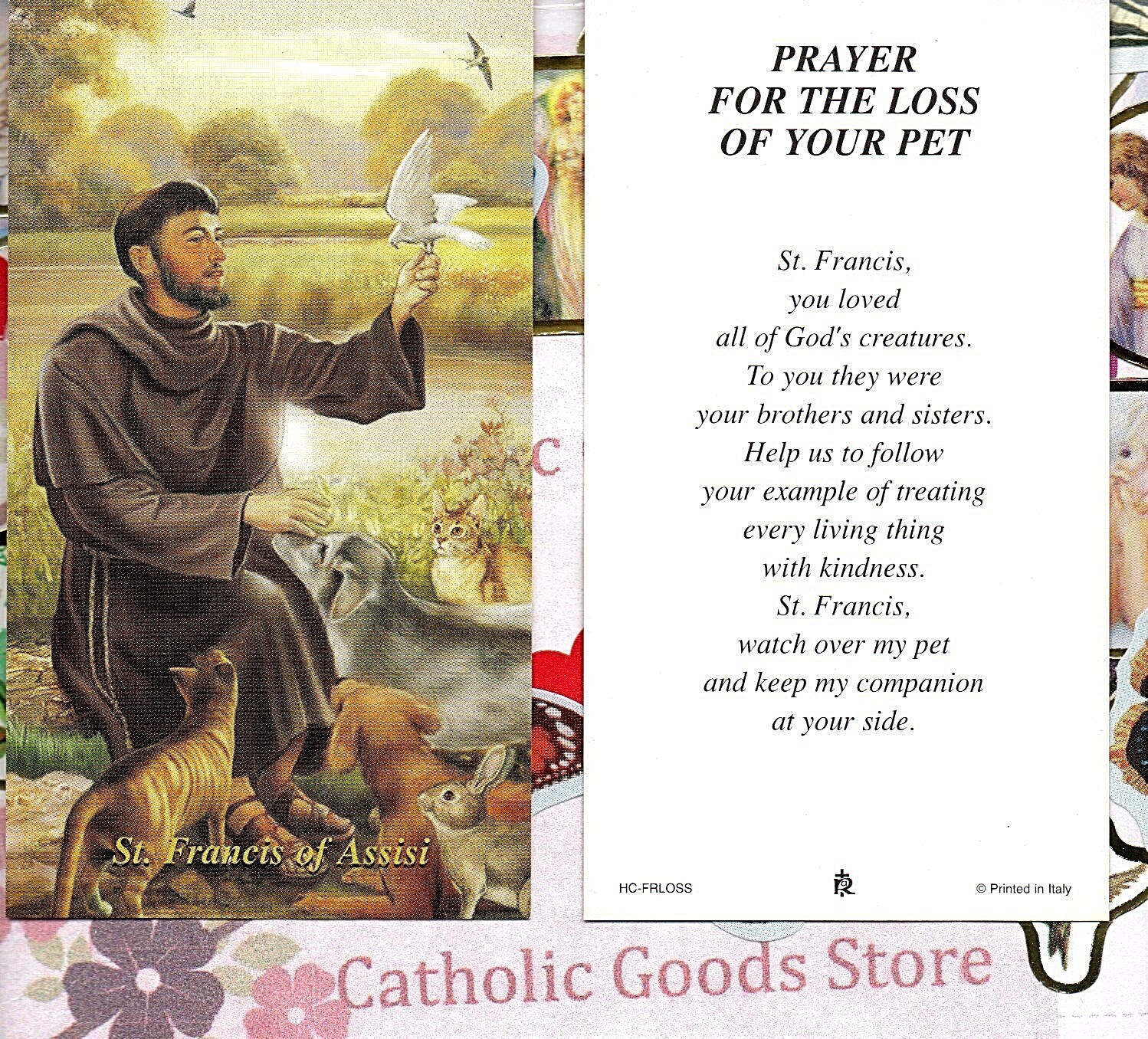 St. Francis of Assisi - Prayer for the Loss of your Pet - Paperstock Holy Card