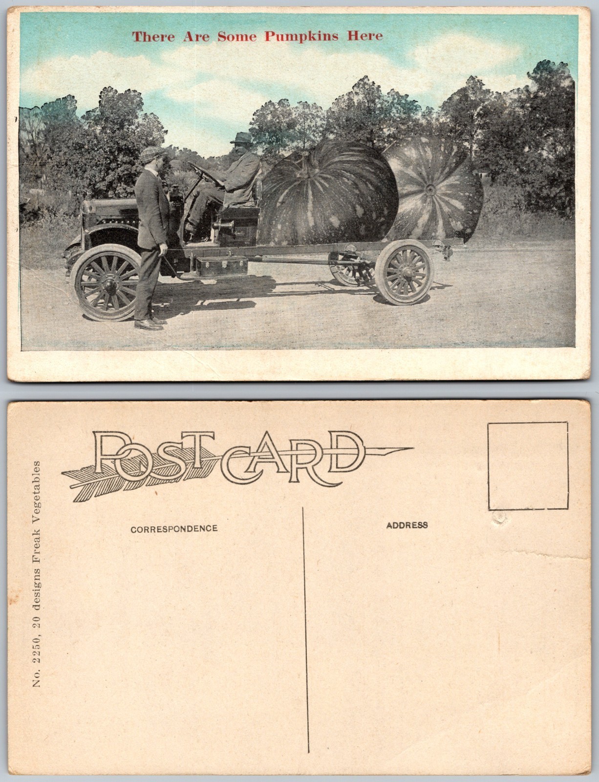 Exaggeration Giant Pumpkins Truck Men Farm Humor Freak Vegetables Postcard