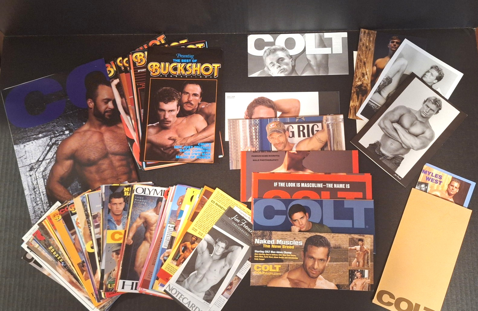 COLT STUDIOS FOLIO MATERIALS-POSTER, CARDS, MODEL AND MOVIE ADVERTISING SHEETS
