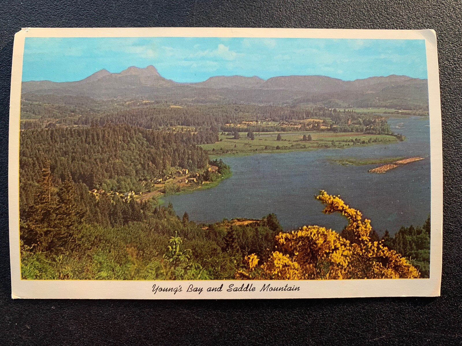 VTG Postcard Young\'s Bay & Saddle Mountain Astoria Oregon Souvenir