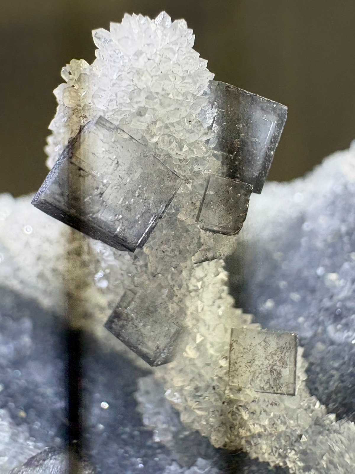 Natural Cubic Fluorite on Quartz Cluster Specimen Raw Mineral Healing Focus
