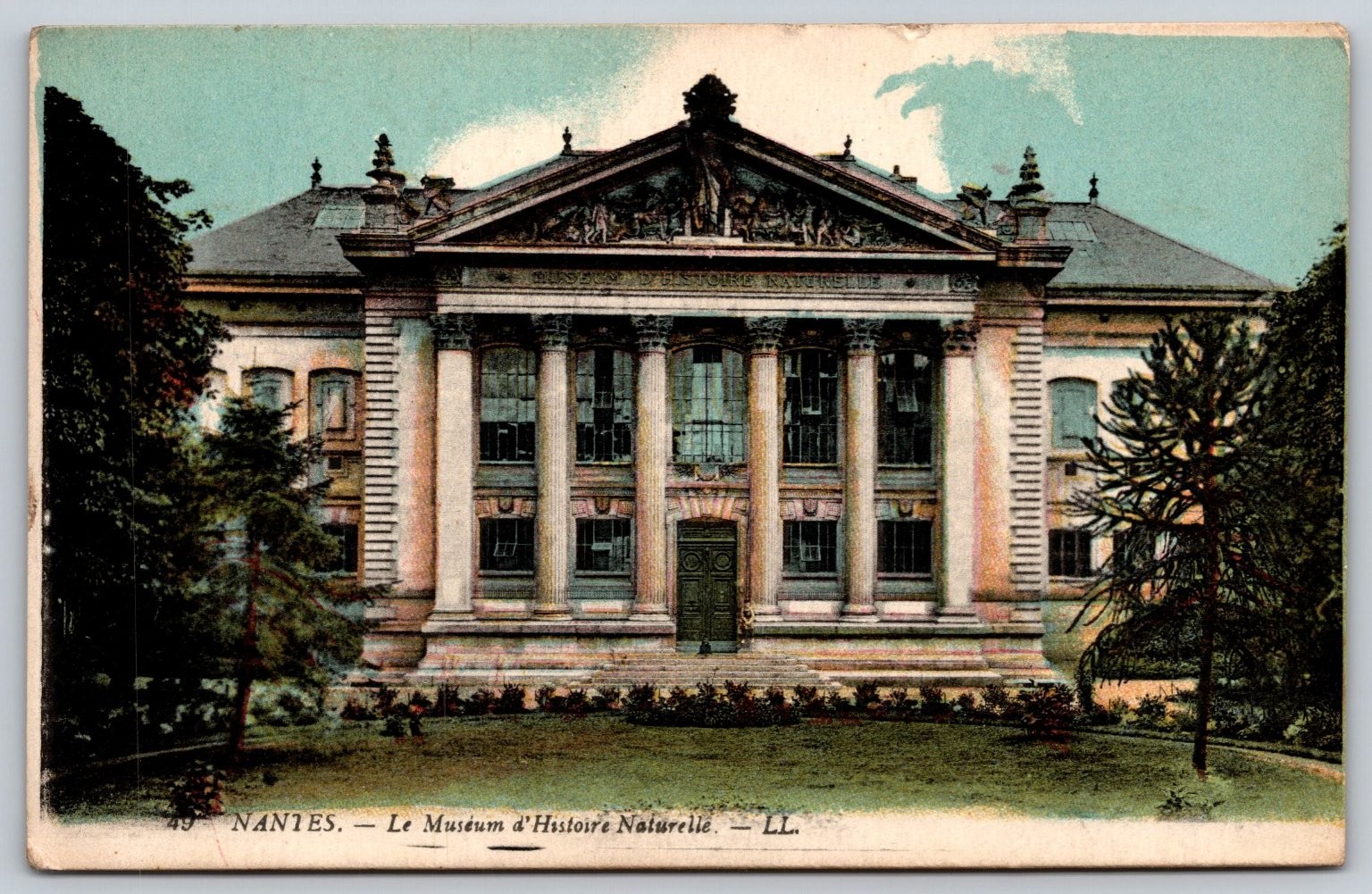 Nantes Museum d\'Histoire Naturelle France LL Vintage Postcard D202