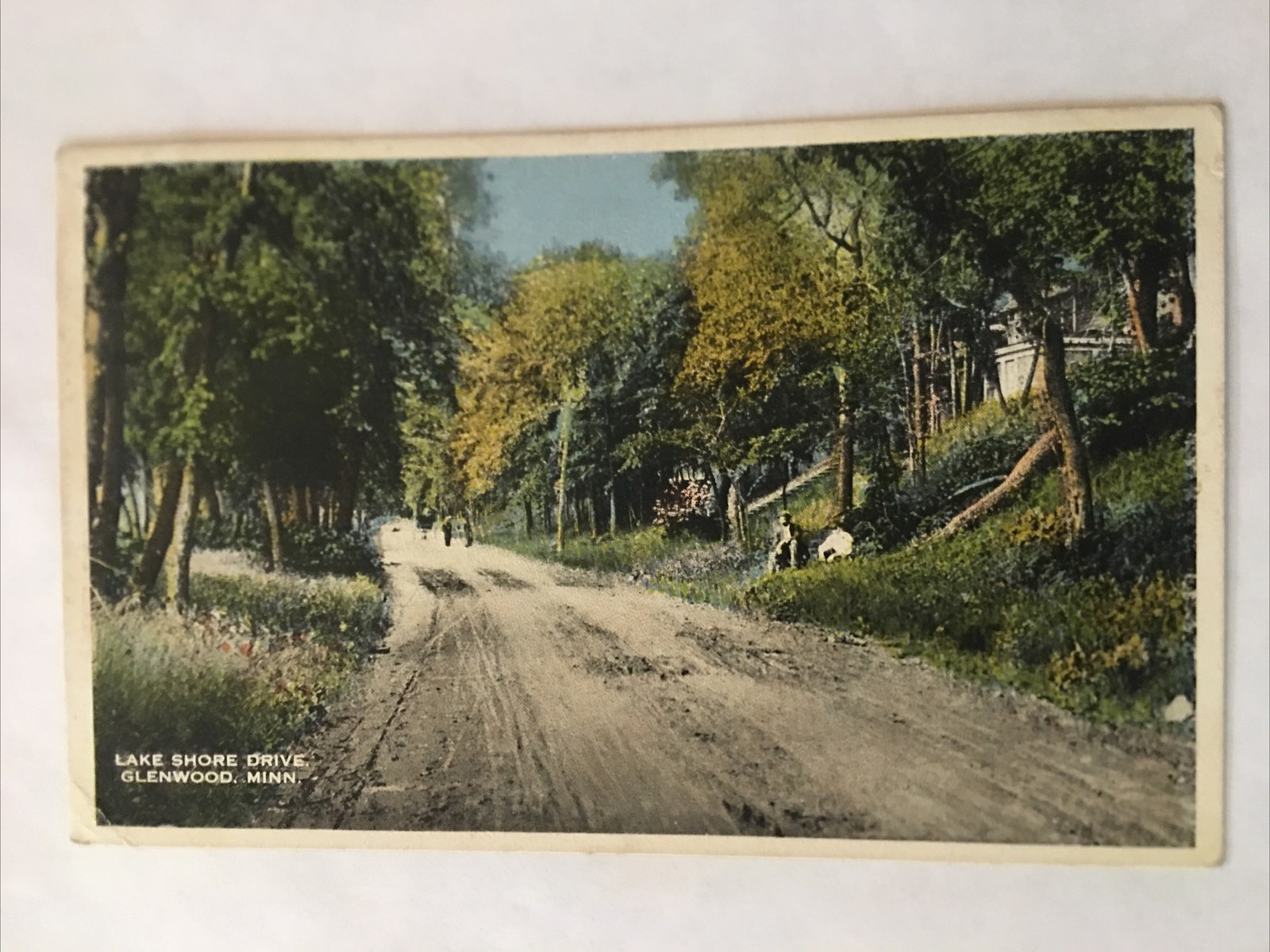 Lake Shore Drive Glenwood Minnesota 1915 Antique Postcard