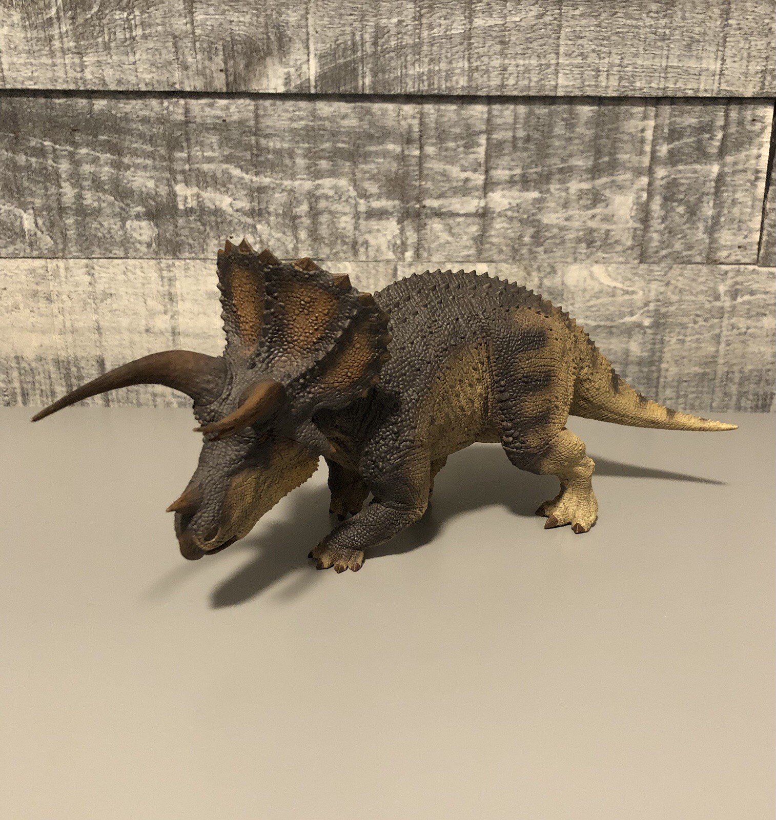 REBOR 1/35 Triceratops Horridus “Trident Horn of Doom” Dinosaur Statue Model