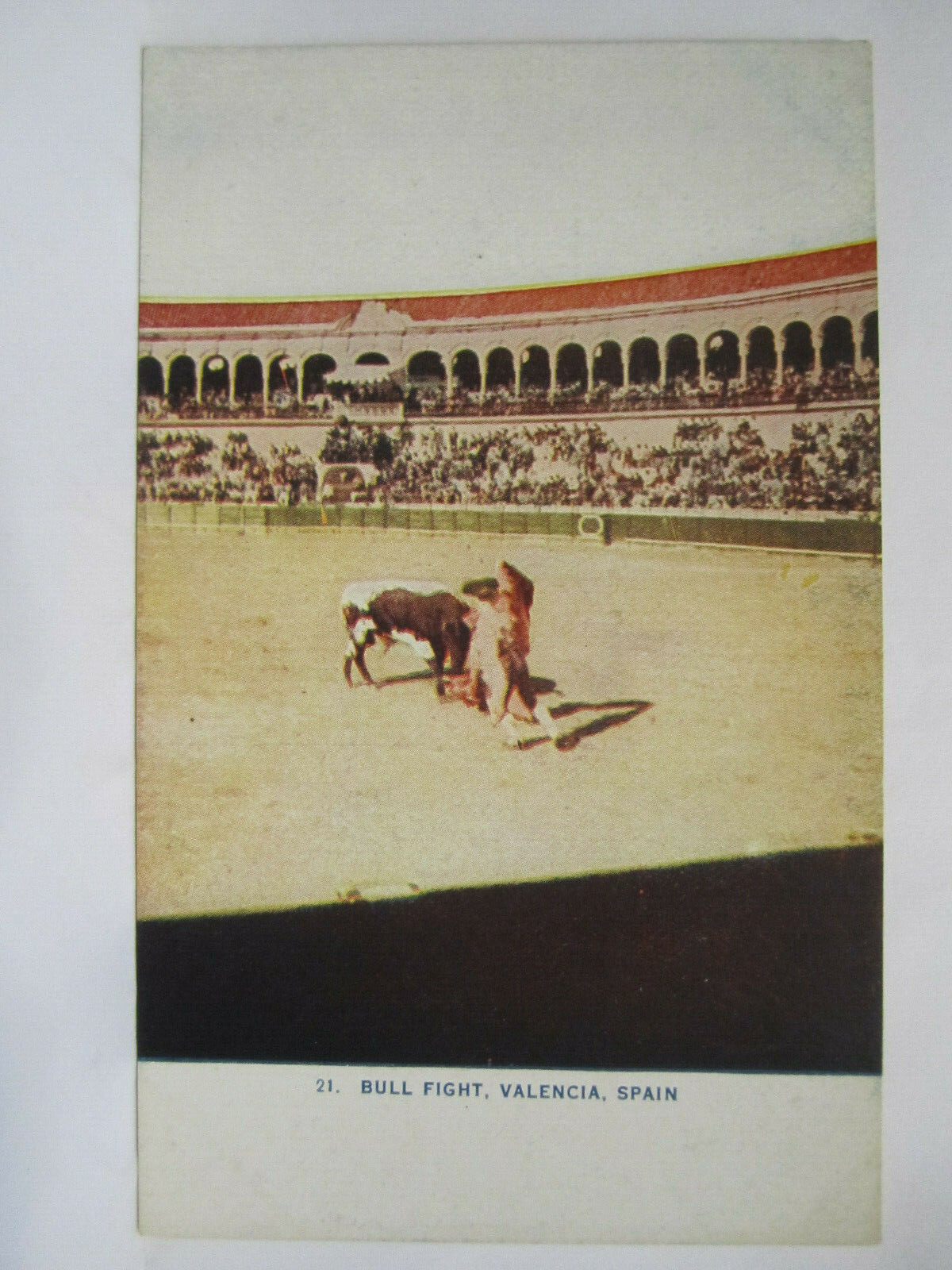 BULL FIGHT POSTCARD VALENCIA SPAIN 1910