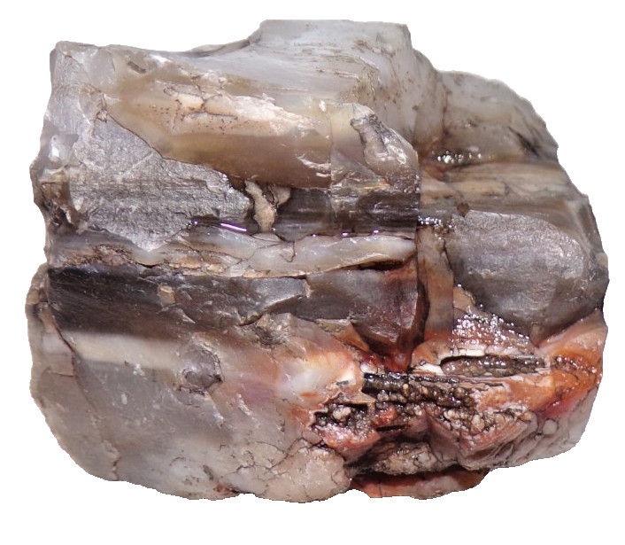 Prehistoric Paleo-American Petrified Wood Stone Multi Tool Northern AZ 288 Prehistoric Paleo-American Petrified Wood Stone Multi Tool Northern AZ 288