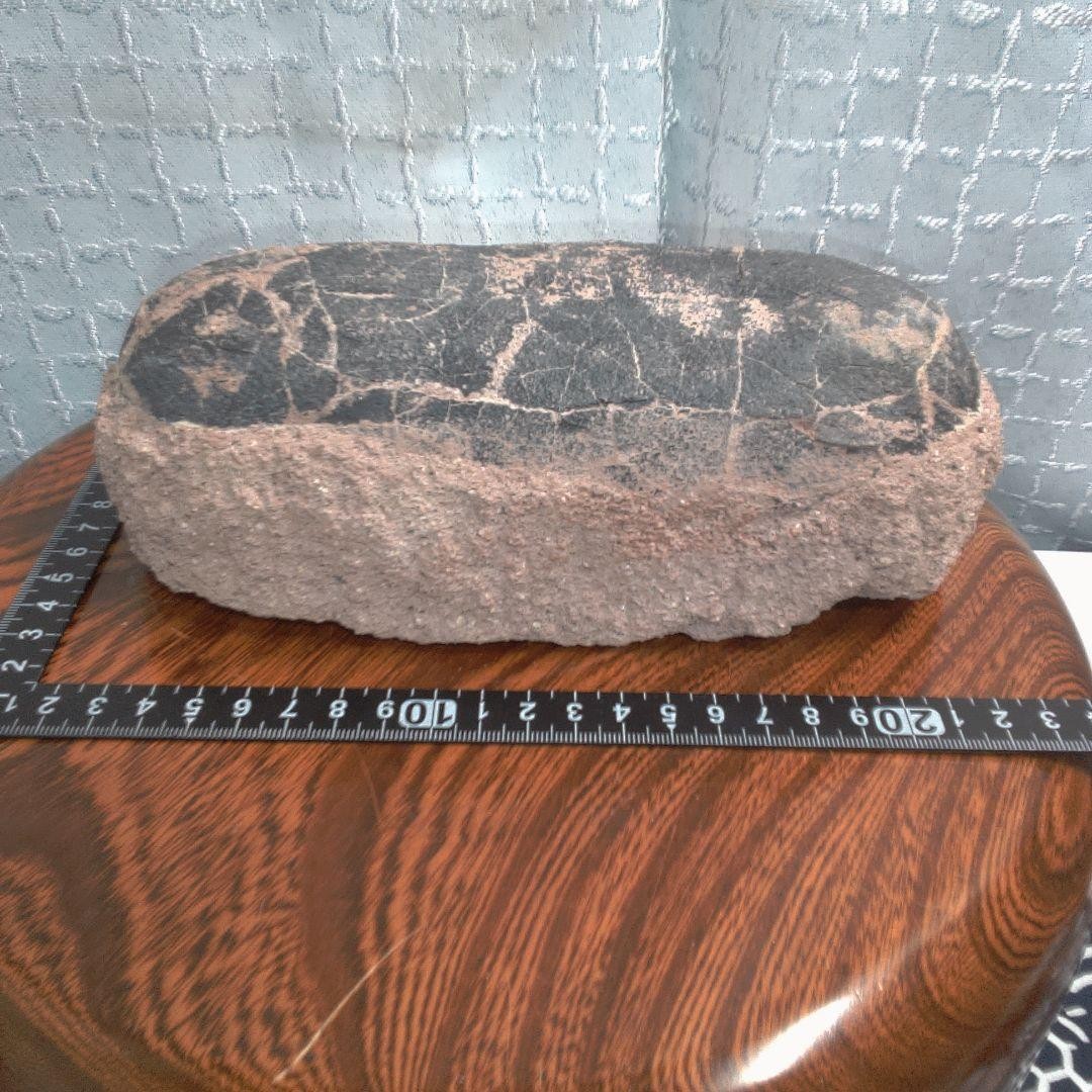 Antique 13 fossil Egg Antique vintage collectible