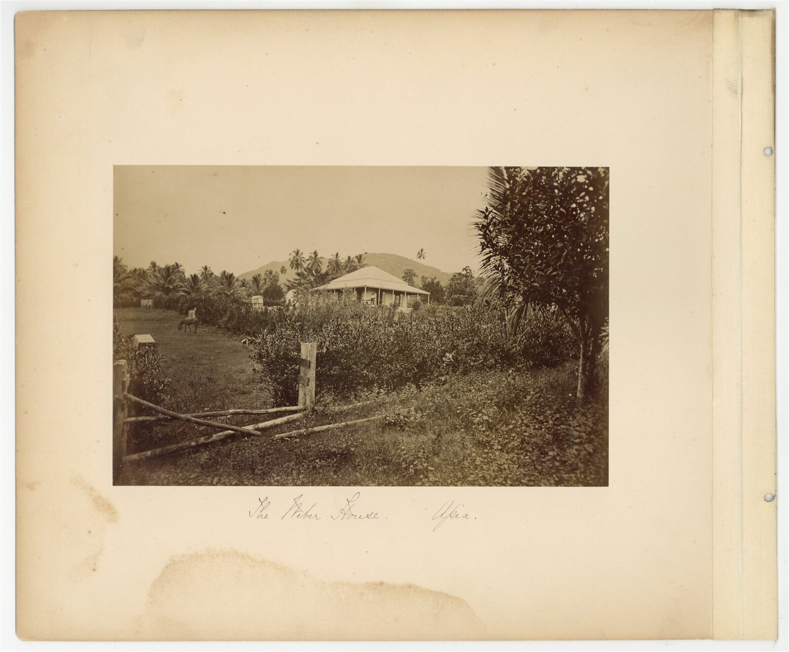 Apia amoa 1890 Colonial House, Cabinet Card Photo Alfred Tattersall 