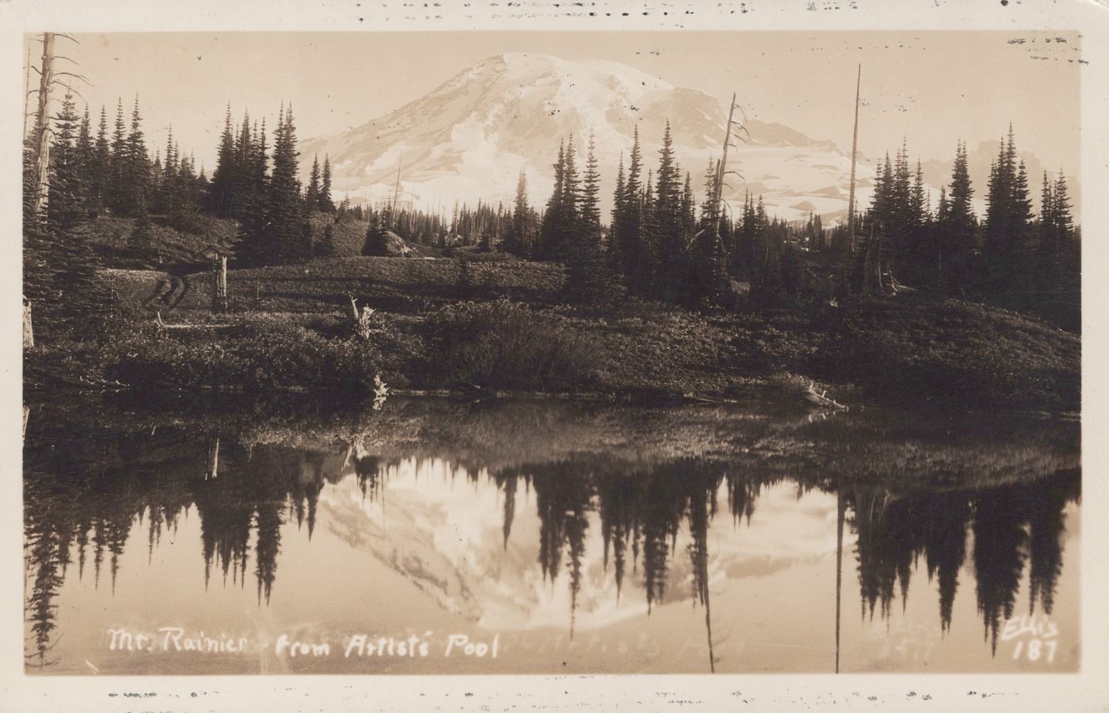 Mt Rainier from Artist\'s Pool RPPC Real Photo Postcard Ellis #187 Washington