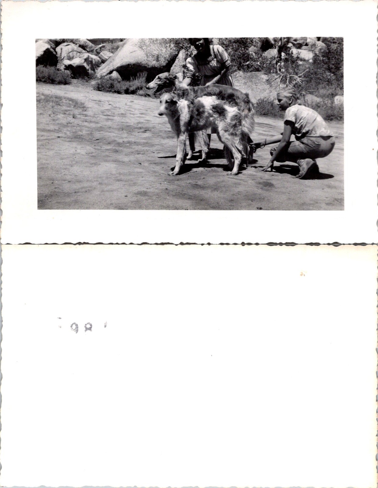 Russian Greyhound Dog Borzoi 1950s 2 Dogs 2 Women B+W Photo S0101