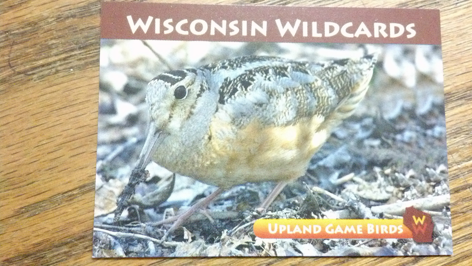 WISCONSIN WILDCARDS, AMERICAN WOODCOCK, UPLAND GAME BIRDS, 3-1/2\ WISCONSIN WILDCARDS, AMERICAN WOODCOCK, UPLAND GAME BIRDS, 3-1/2\