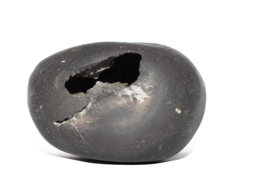 Matsya Shaligram