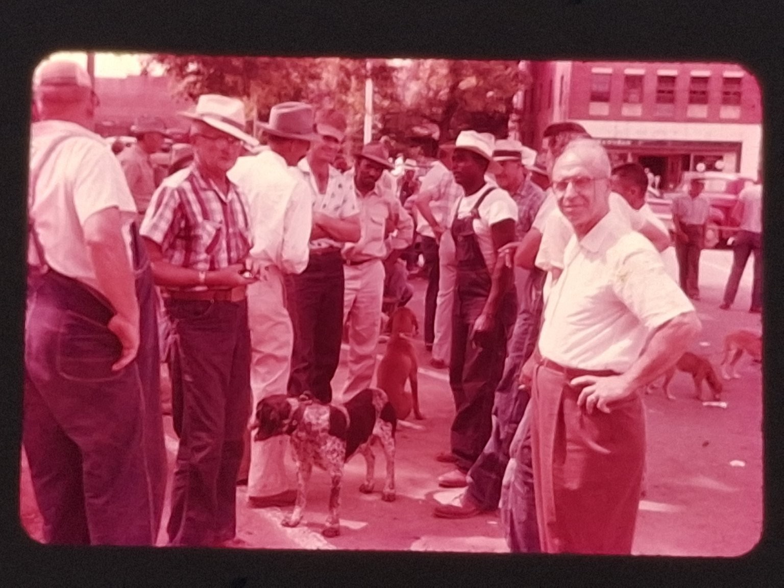 Group of Men Dogs Ektachrome Slide Vintage 35mm Transparency Street Scene