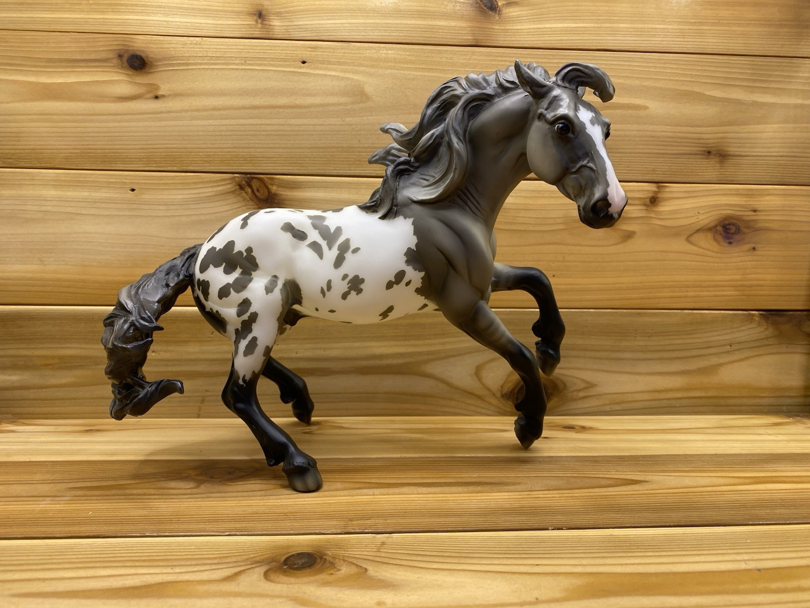 Breyer Collector Club Shelby Matte Grey Appaloosa Nokota Mold Gamblers Choice