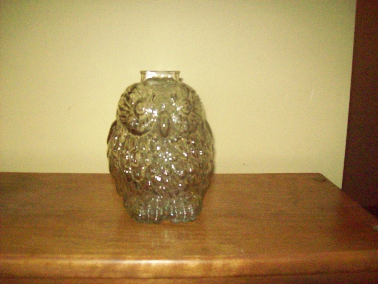 Vintage Wise Old Owl Coin Bank Clear Glass 6\