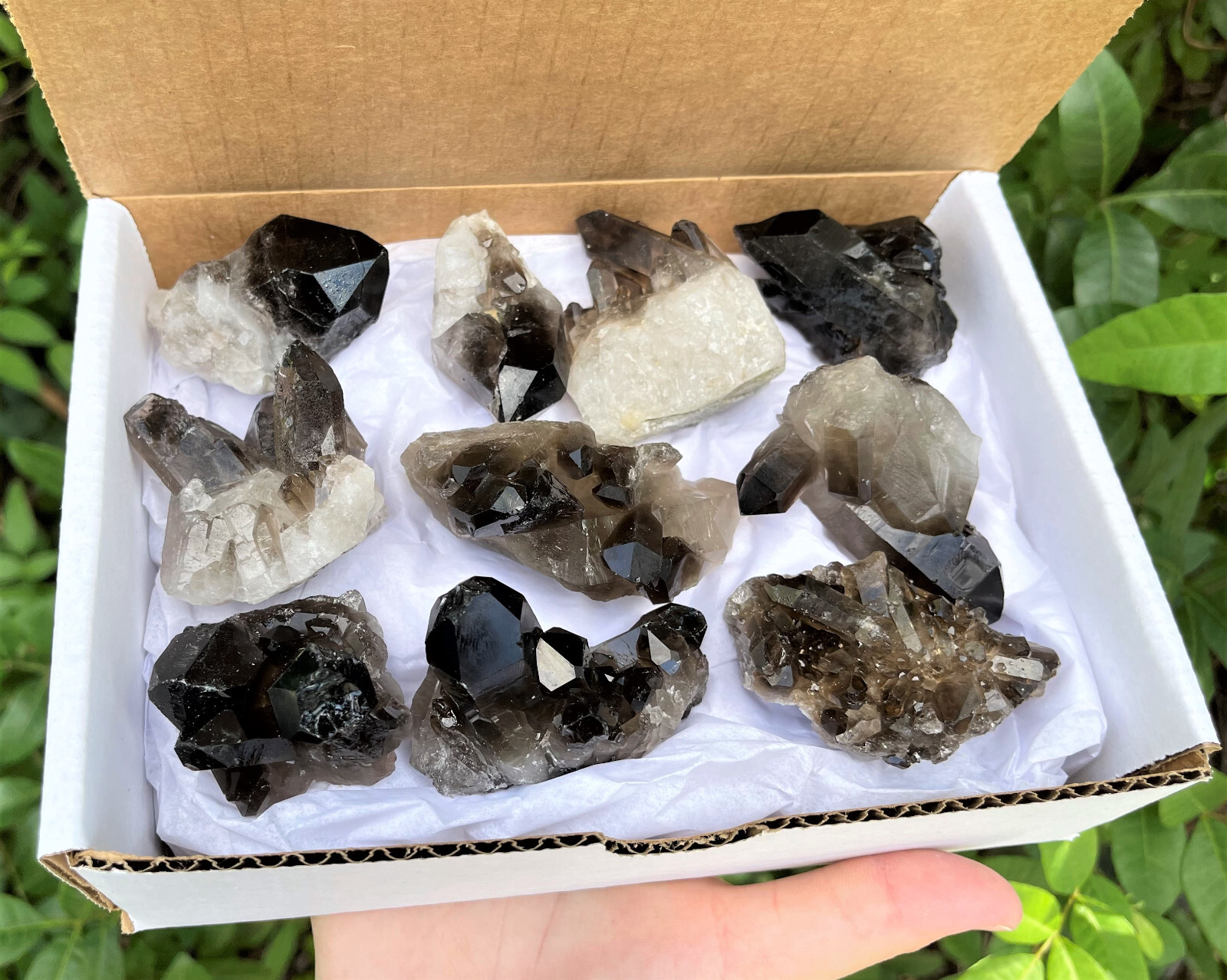 Smoky Quartz Crystal Cluster Gift Box: 6 - 9 Piece ('A' Grade Smokey Quartz)