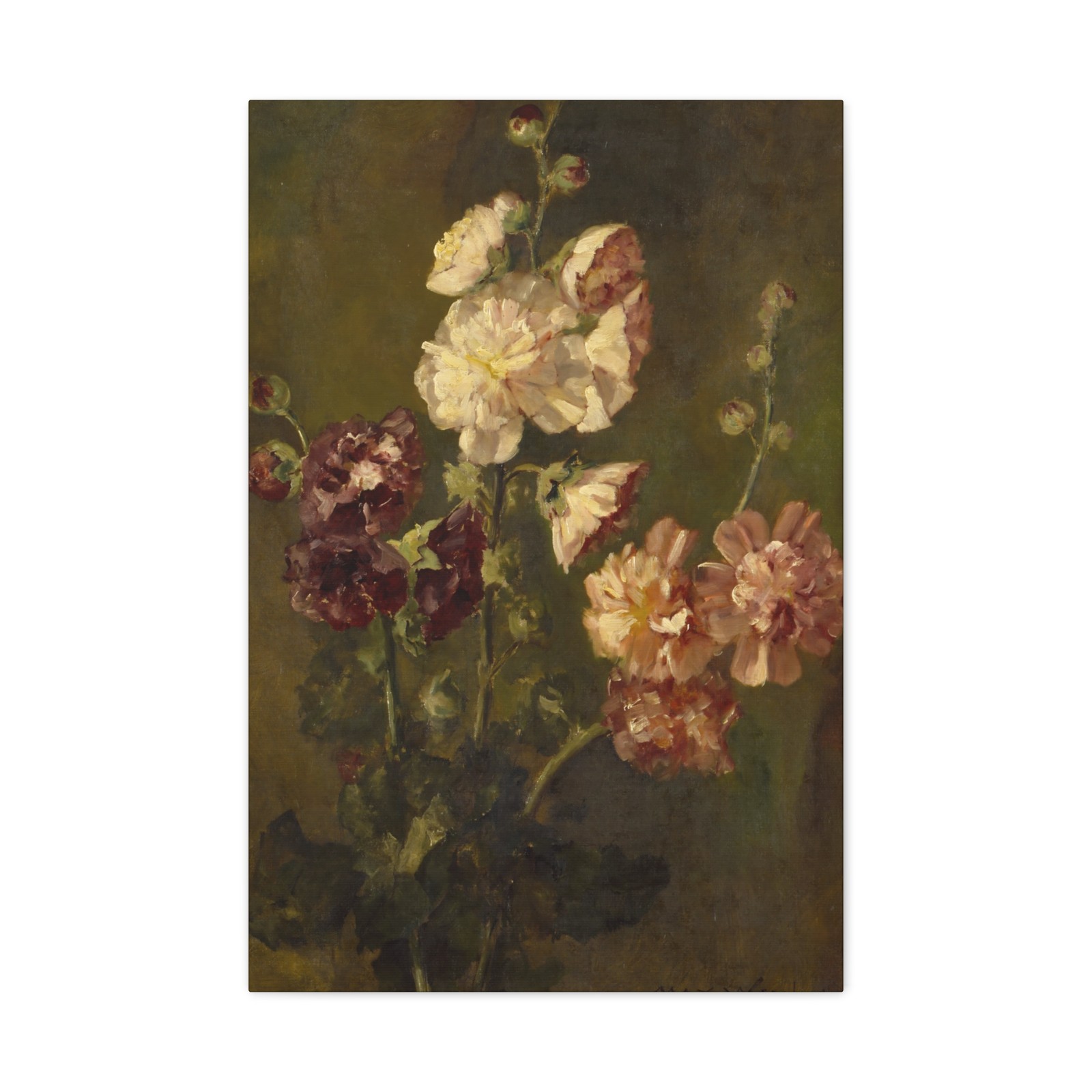 Max Weyl - Hollyhocks - 1881 - Canvas Wall Art