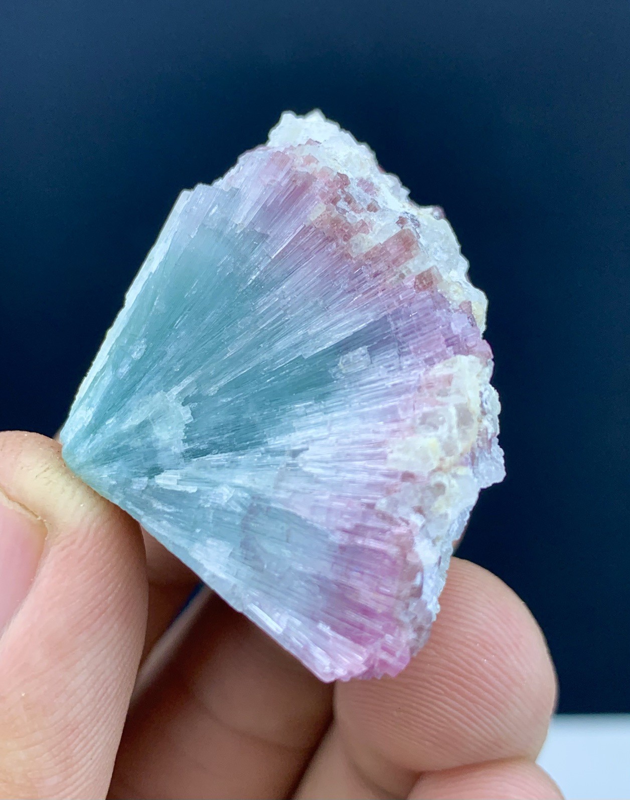Natural Bi-Color Tourmaline Spray Crystal on Matrix Pink & Blue From Afghanistan