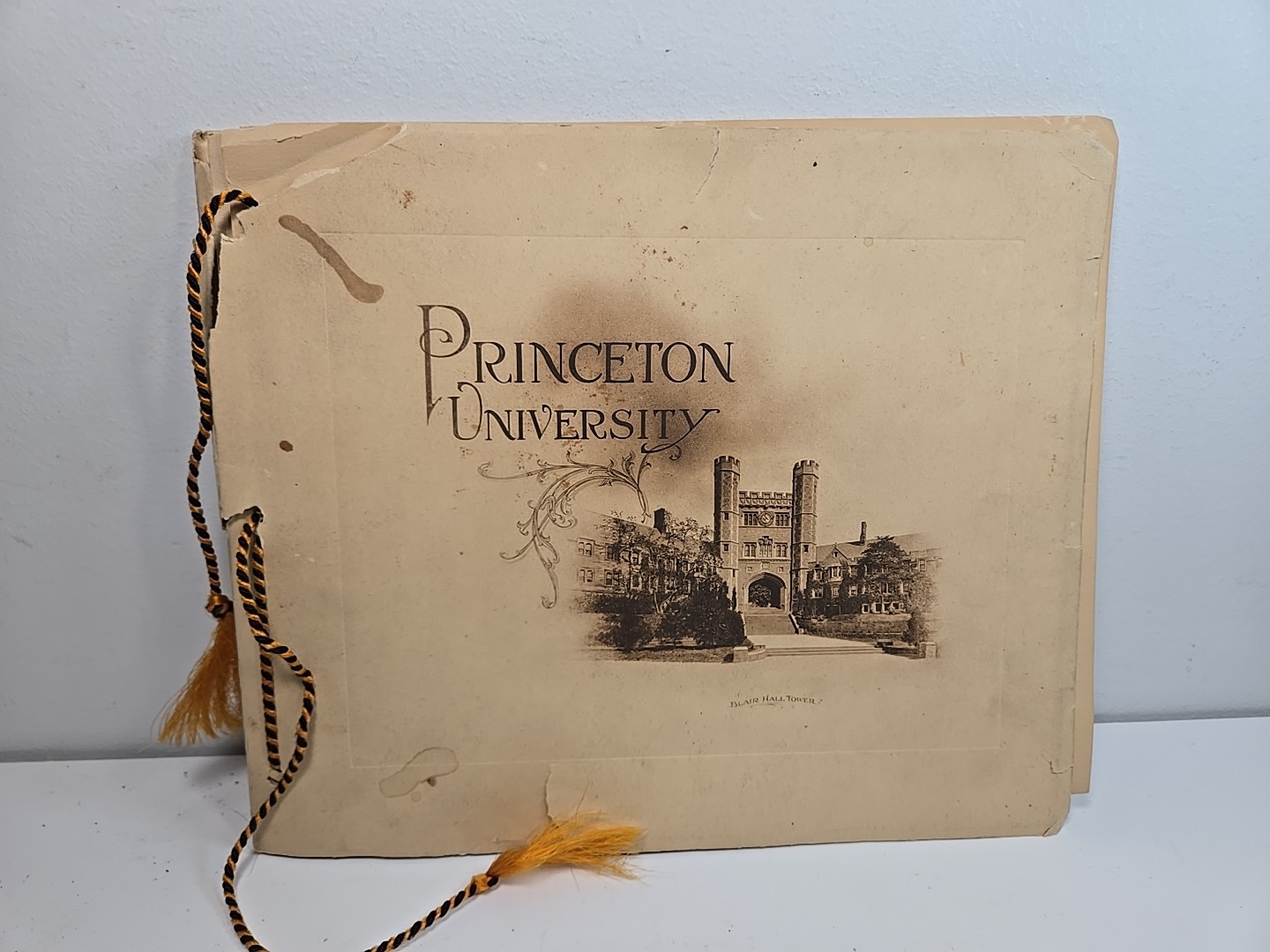 Antique Princeton University Store Photo Book Architecture Early 1900s 