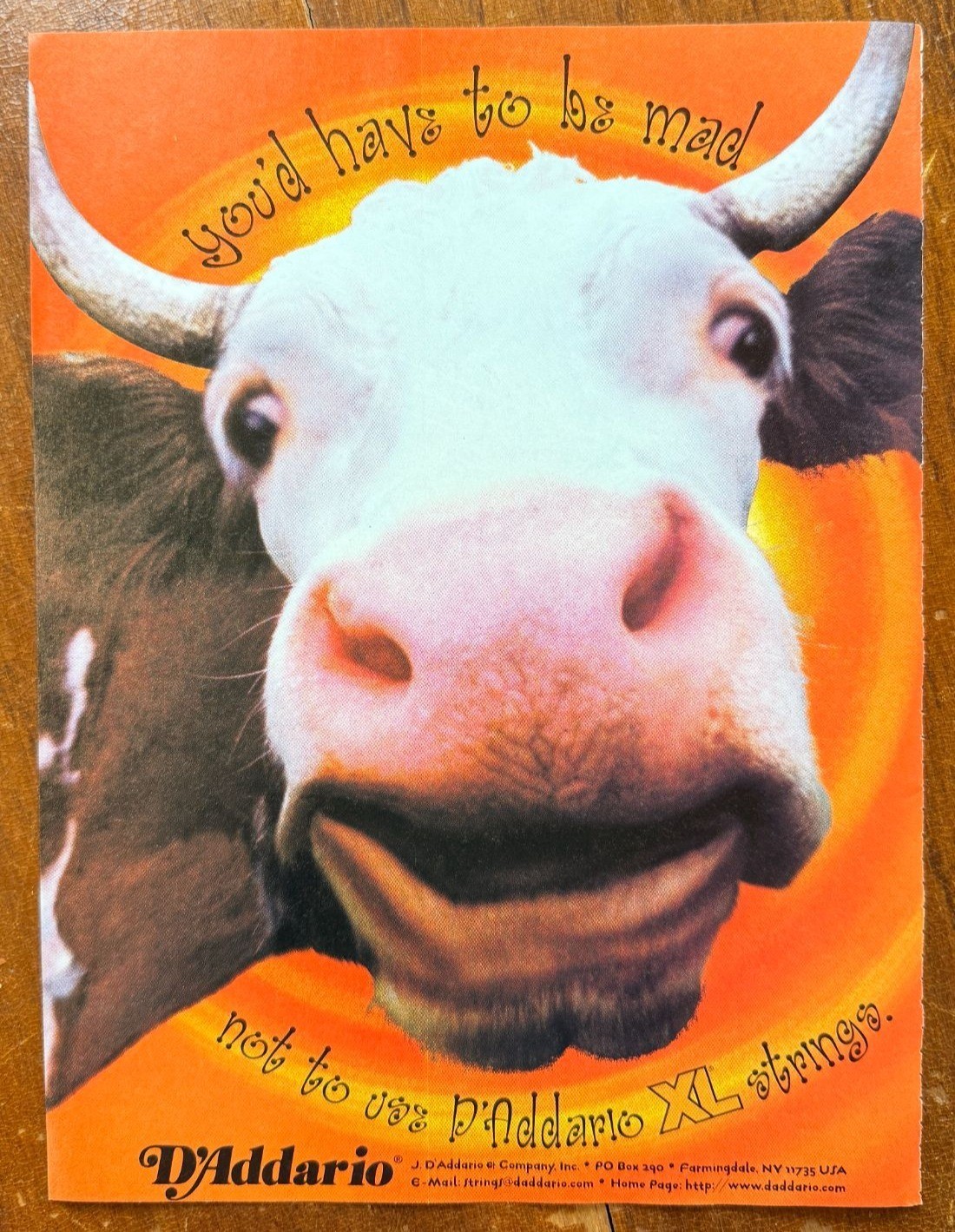 Vintage 1998 D\'Addario Strings Cow Face Guitar Magazine Advertisement Print Ad