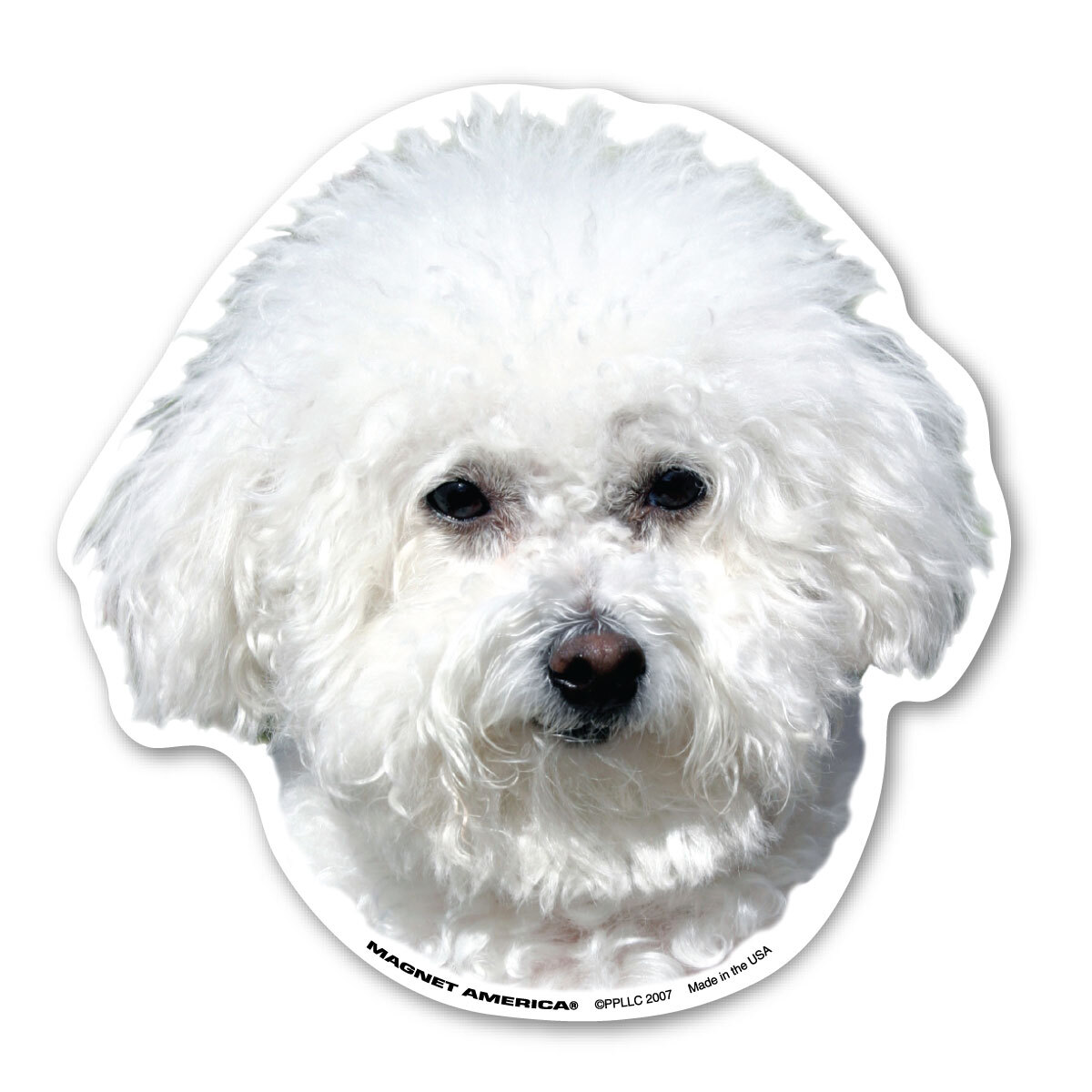 Bichon Frises Magnet Bichon Frises Magnet