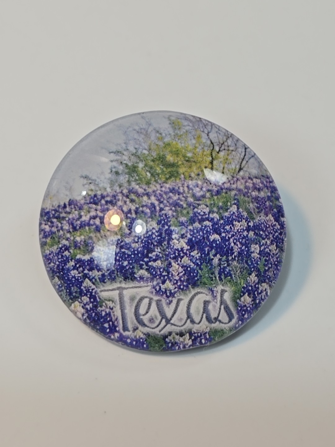 Texas Travel Souvenir Fridge Magnet Round Domed Acrylic Bluebonnets