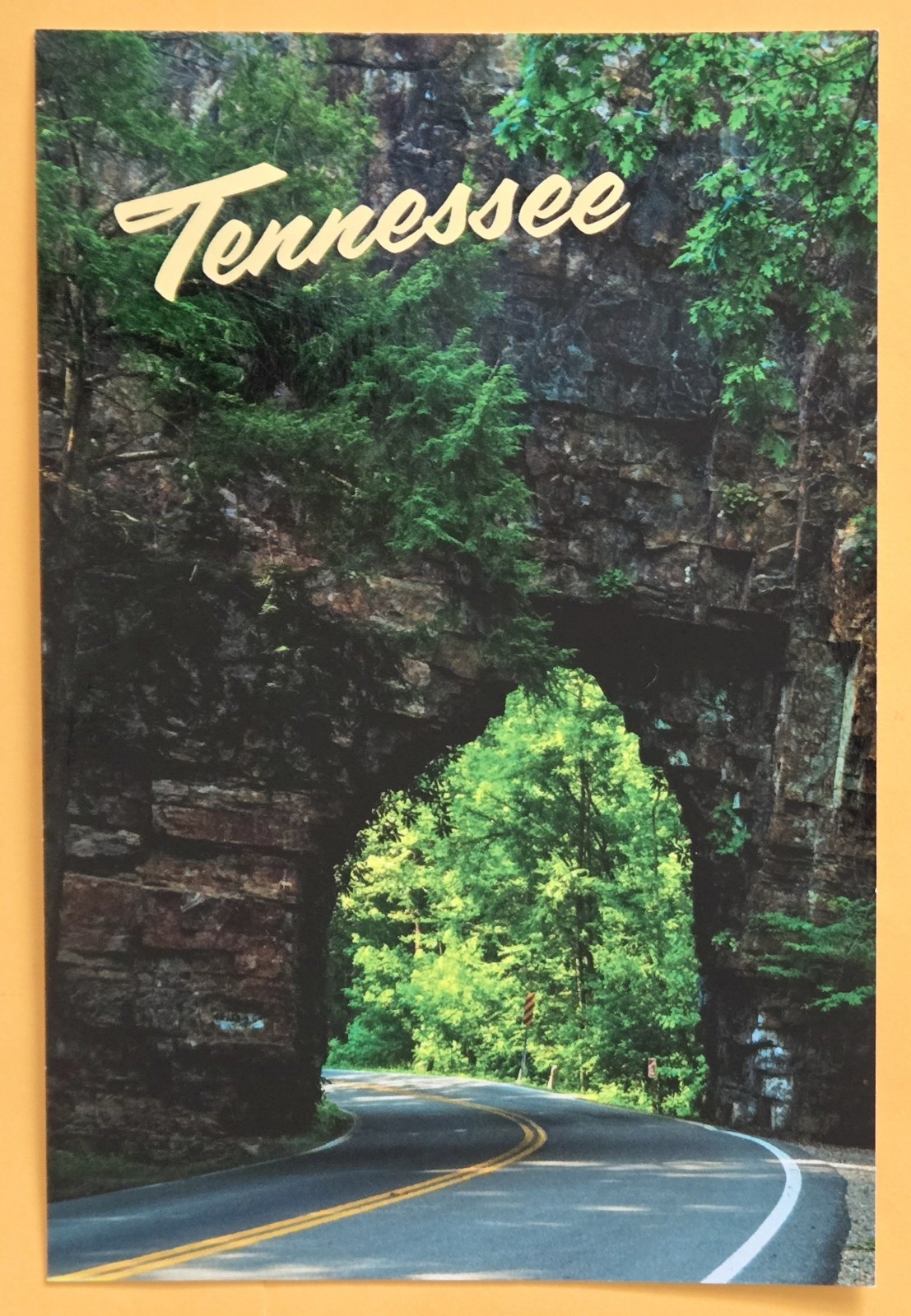 Postcard TN. Roadway Through The Mountains. Tennessee 