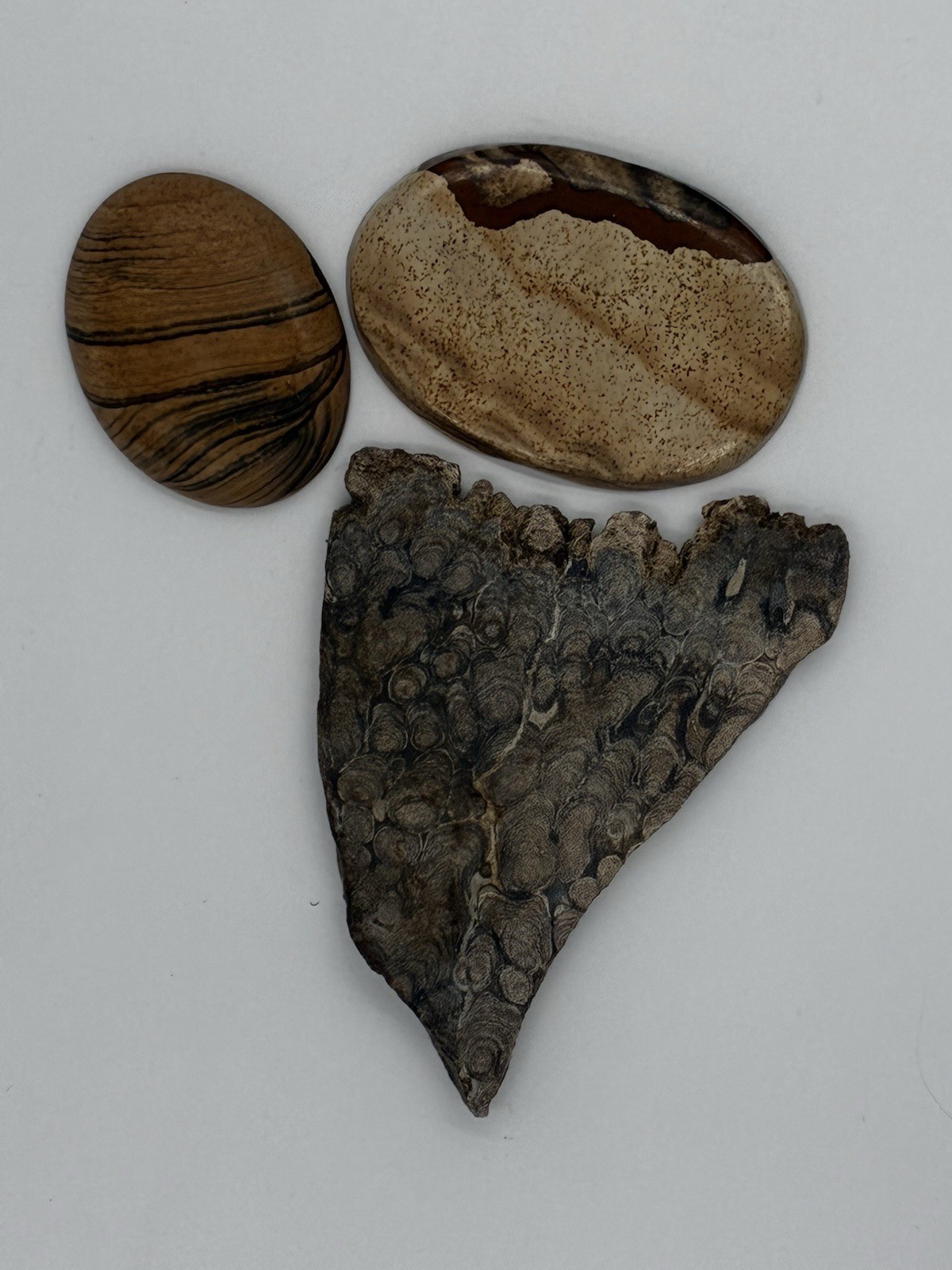 Stromalite & Picture Jasper Beauties From Rock Shop Estate- Cabs 40x30, 30x20mm