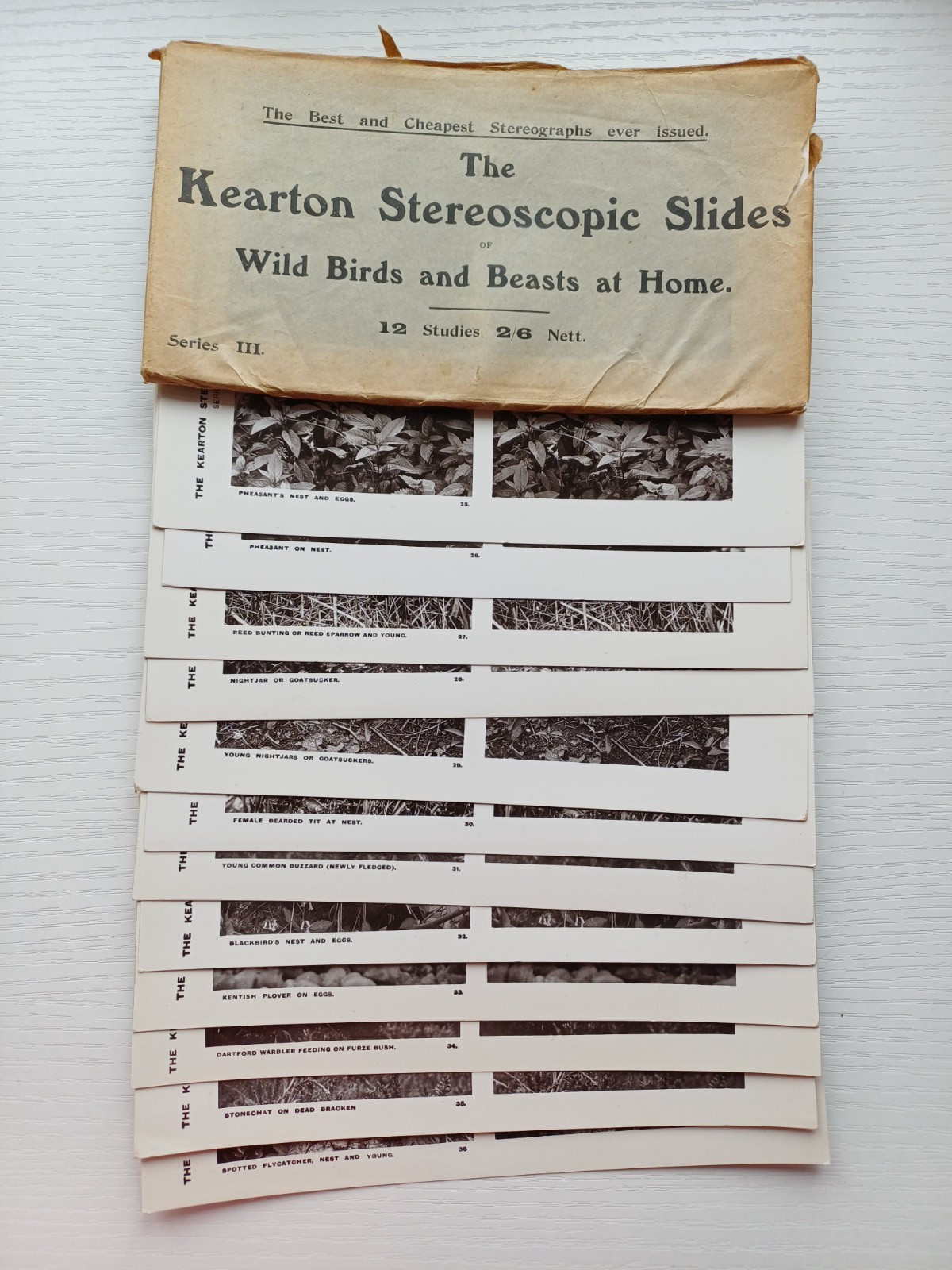 Antique Kearton Stereoscopic Slides Nature Study Complete Set Envelope series 3.