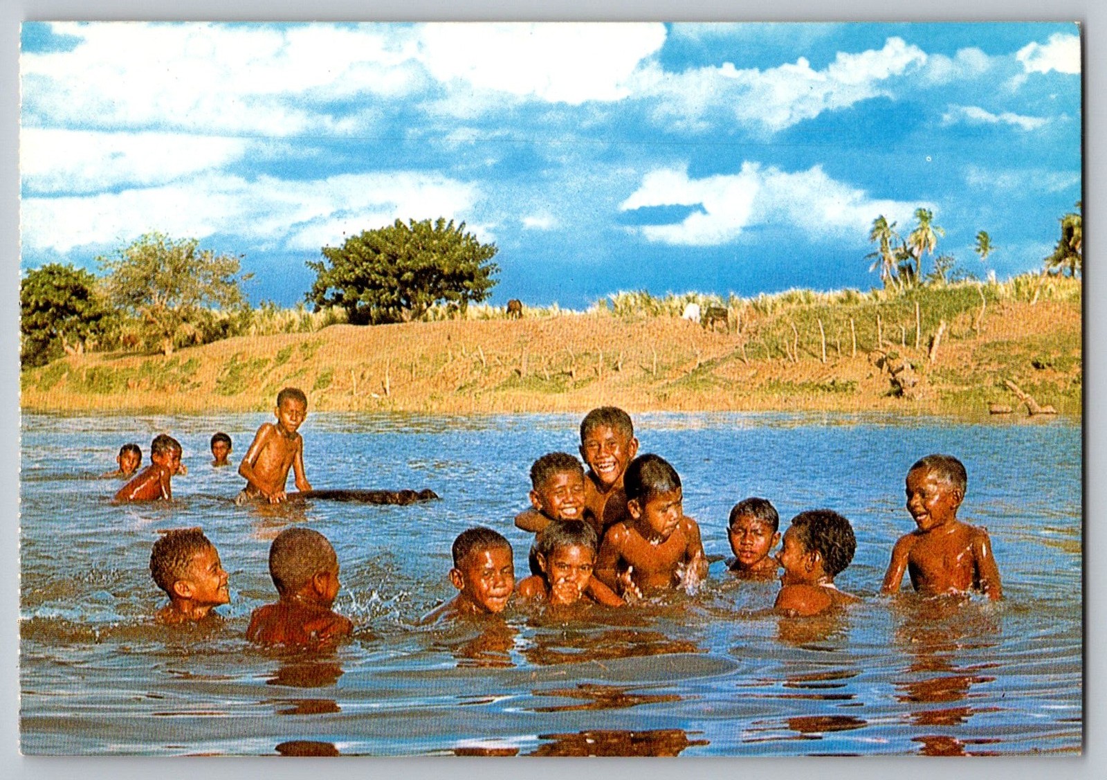 Postcard - Fijian Children Having A Cool Swim In Fresh Water Creeks In Fiji.