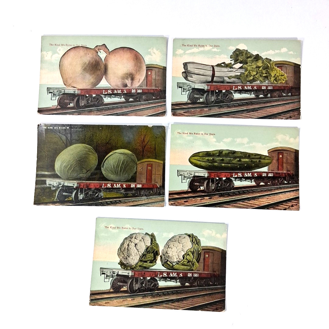 Lot Of 5 The Kind We Raise in Our State Exaggeration Postcard 1913