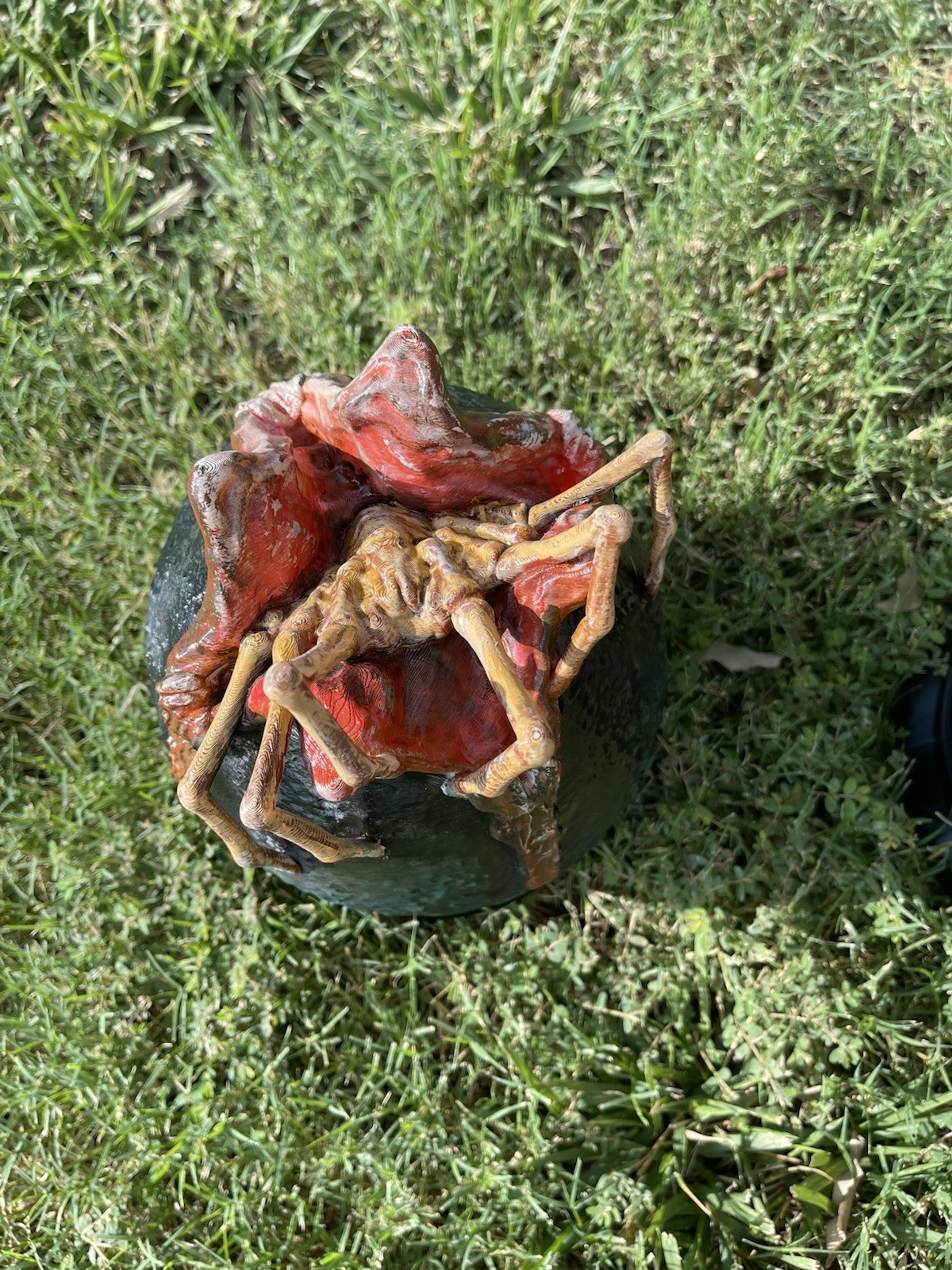 Alien Egg With Xenomorph Coming Out
