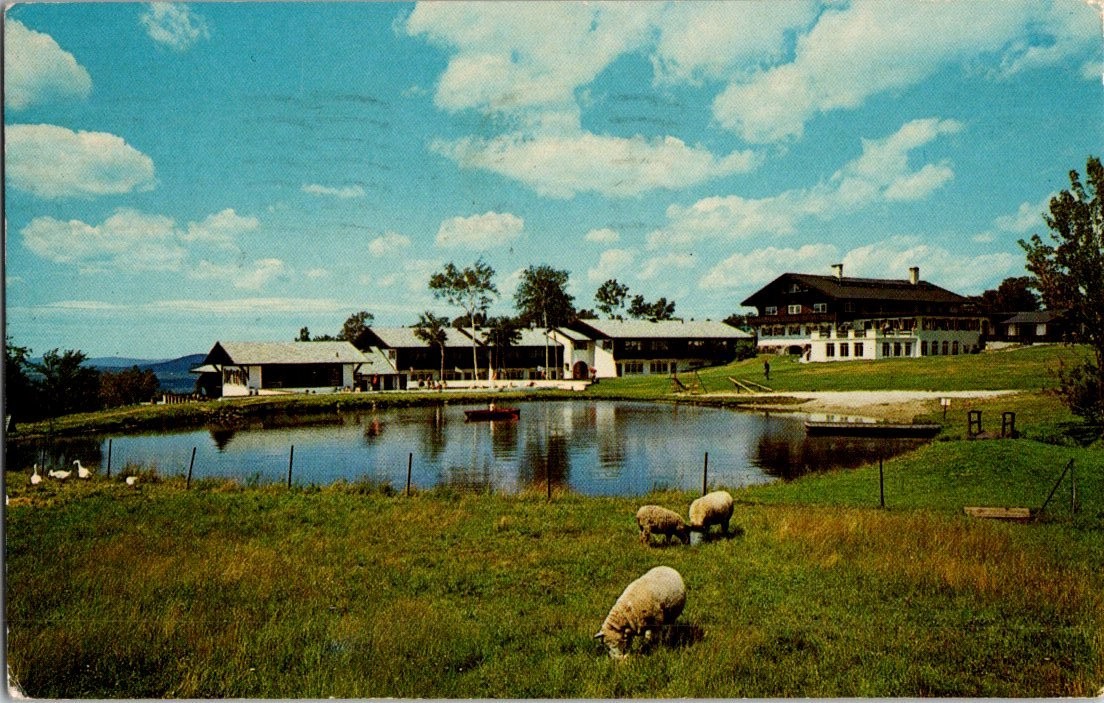 Vintage Mittersill Alpine Inn NH Scenic Postcard with Sheep & Pond 1968 Vintage Mittersill Alpine Inn NH Scenic Postcard with Sheep & Pond 1968