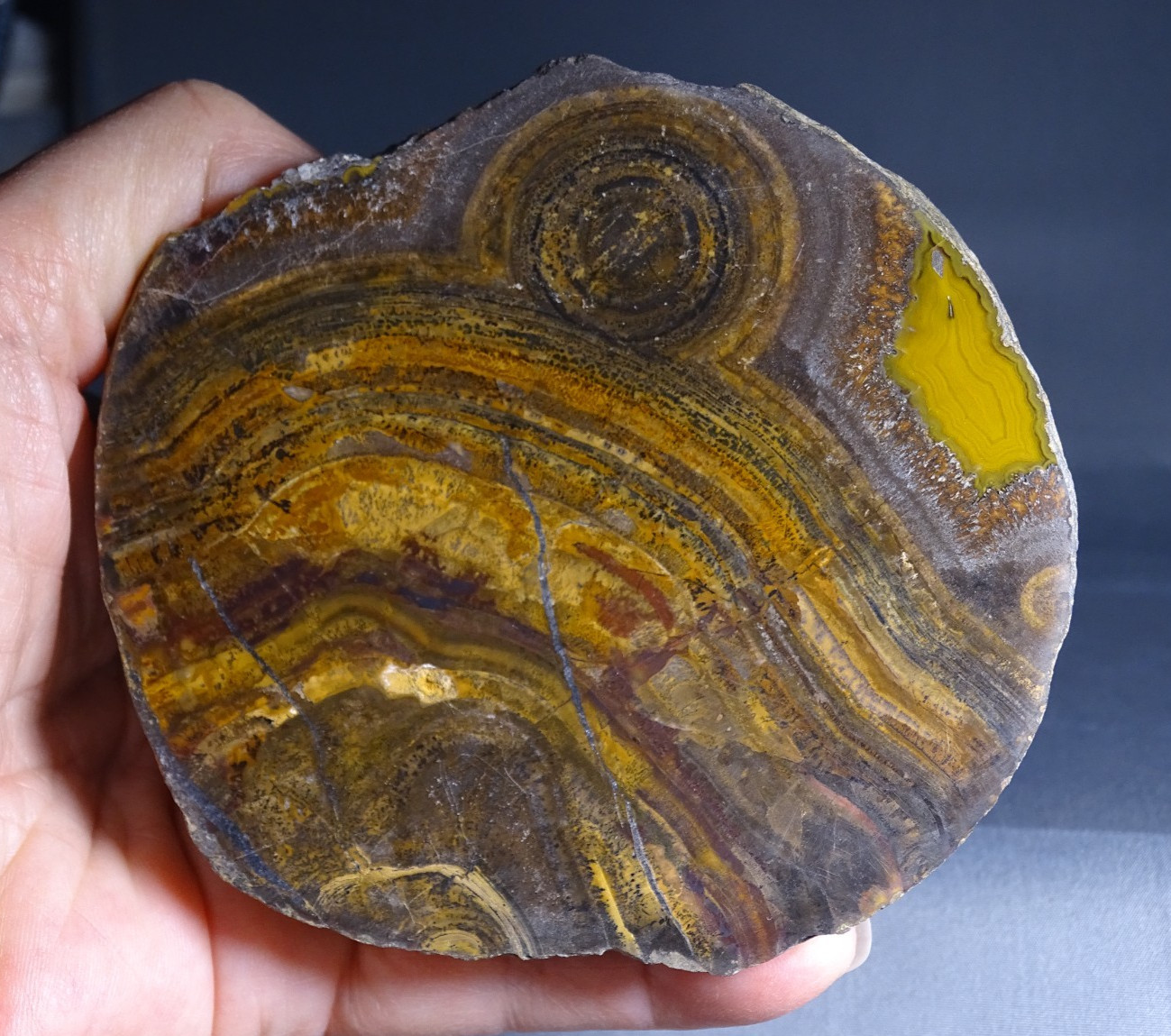 Chinese Fighting Blood Agate with Hematite Collector Middle Class Mine China
