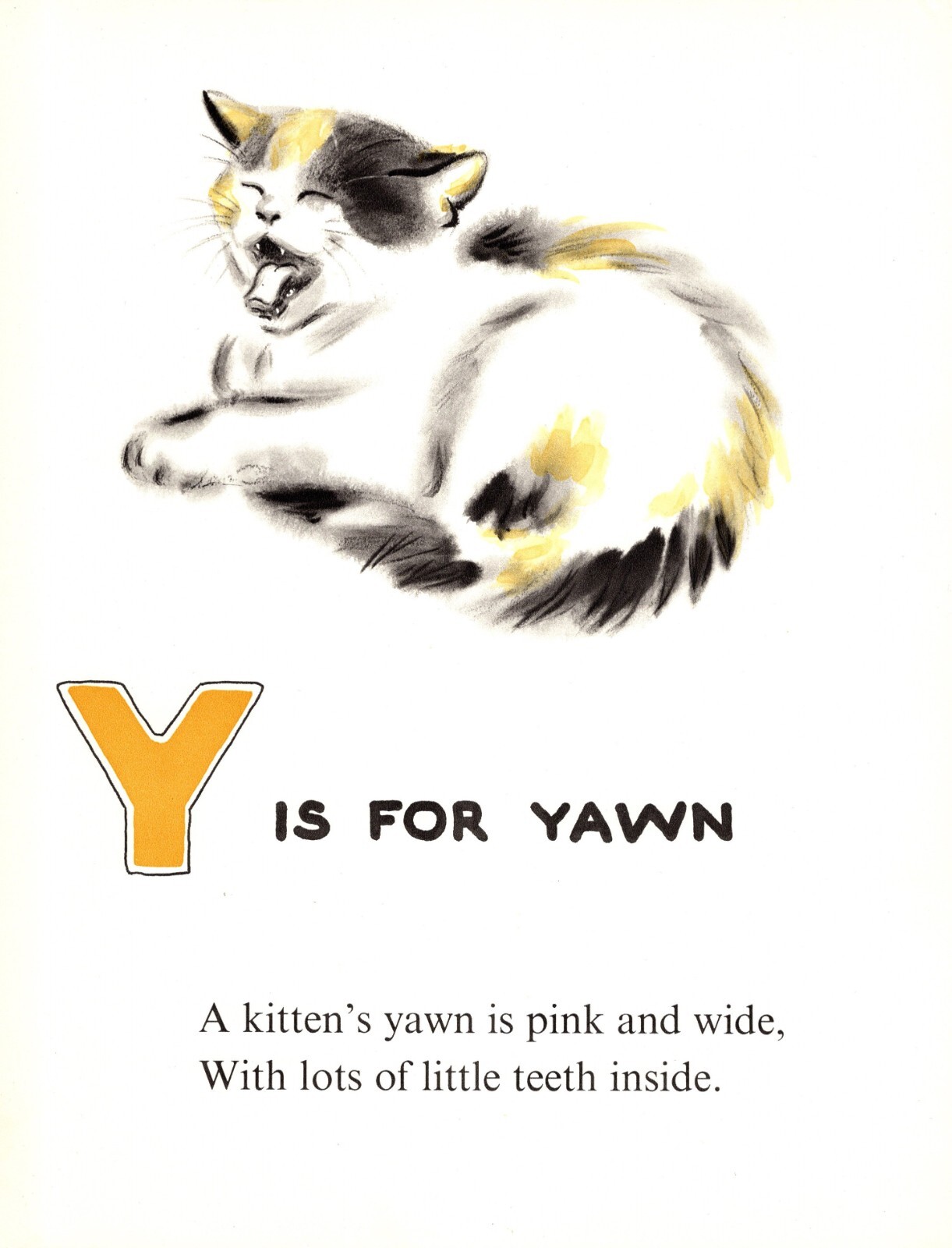 Vintage Yawning Kitten Cat Print ABC Letter Y Alphabet Print Wall Art 5410j