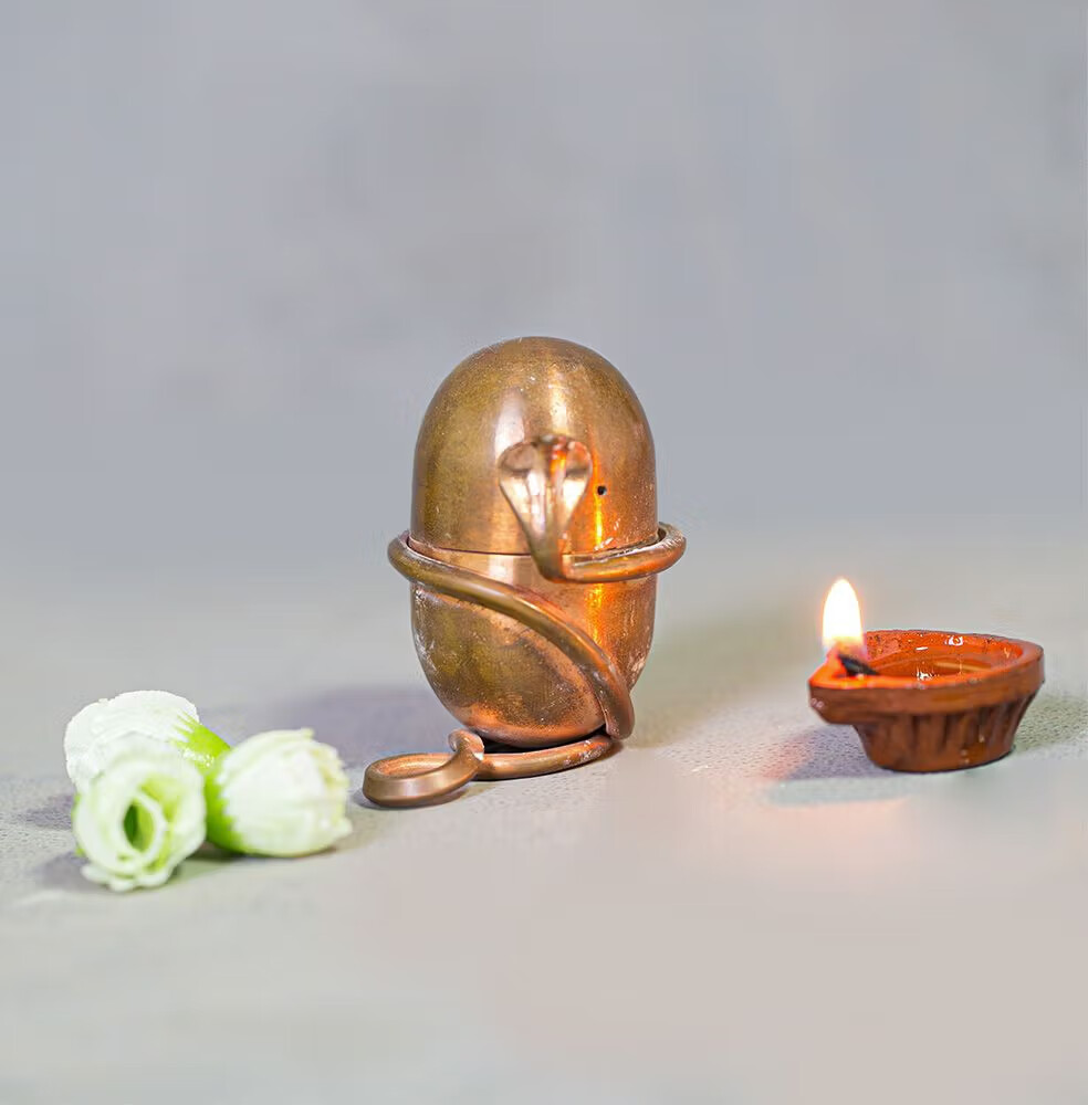 ISHA Jeevarasam (Consecrate water at home) USA FREE DELIVERY