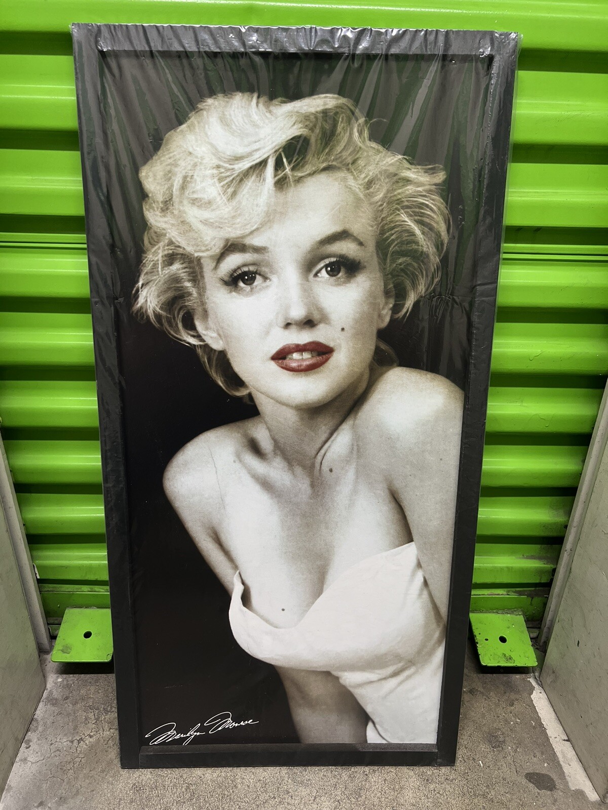 Marilyn Monroe ( 16 X 32 ) picture frame