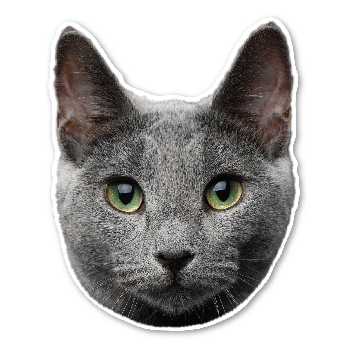 Russian Blue Cat Magnet Russian Blue Cat Magnet