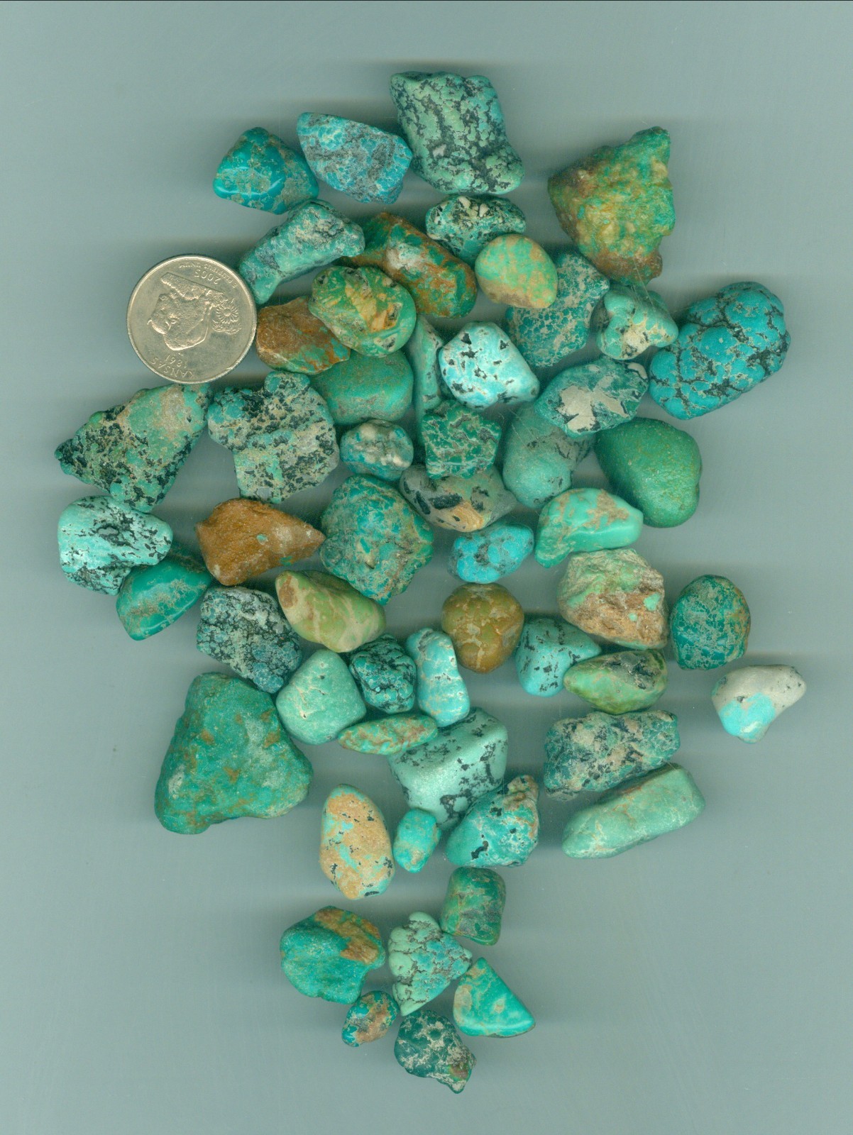 235 Grams of Stabilized Fox Turquoise Rough Large pieces of Stabilized Turquoise